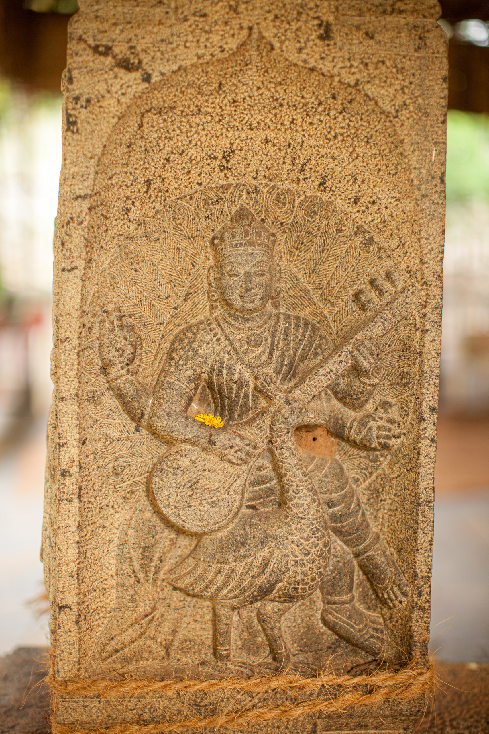 20110103170140 IMG 4064