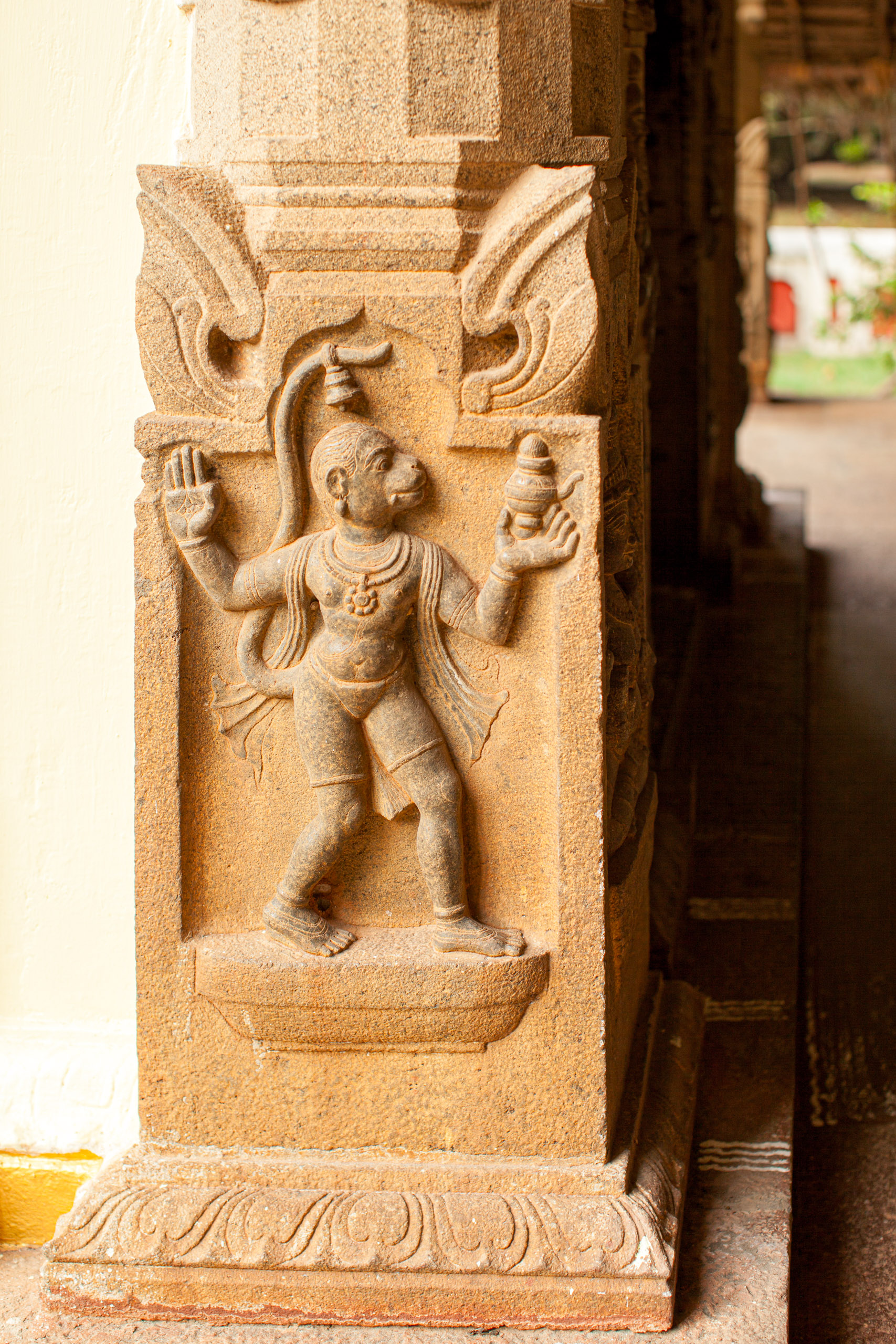 20110103170744 IMG 4086