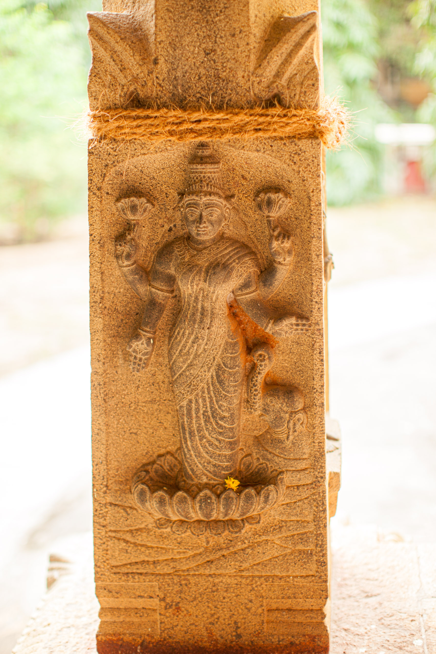 20110103170807 IMG 4087