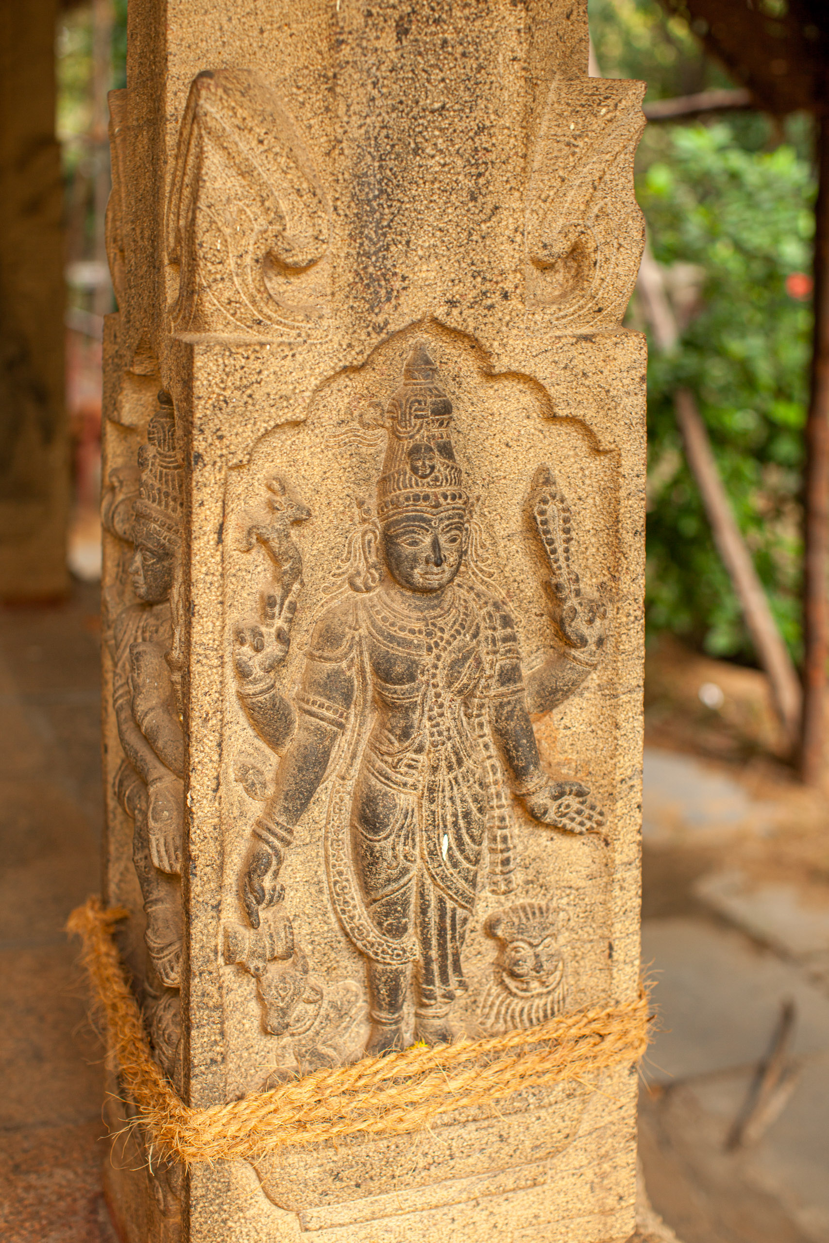 20110103170818 IMG 4089