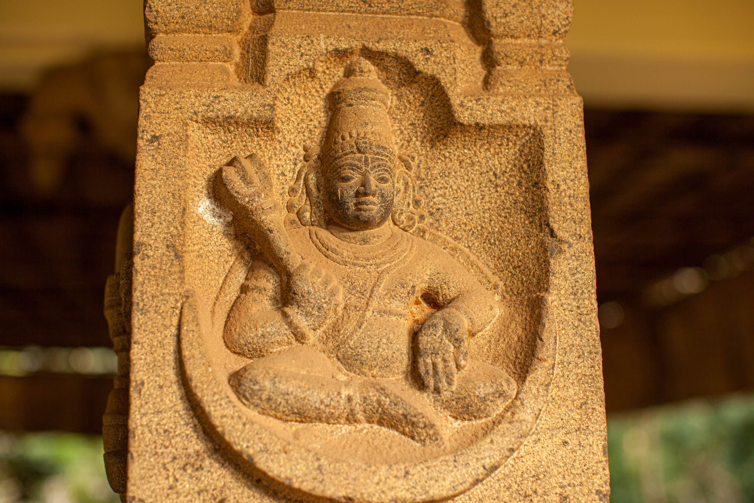 20110103170900 IMG 4093