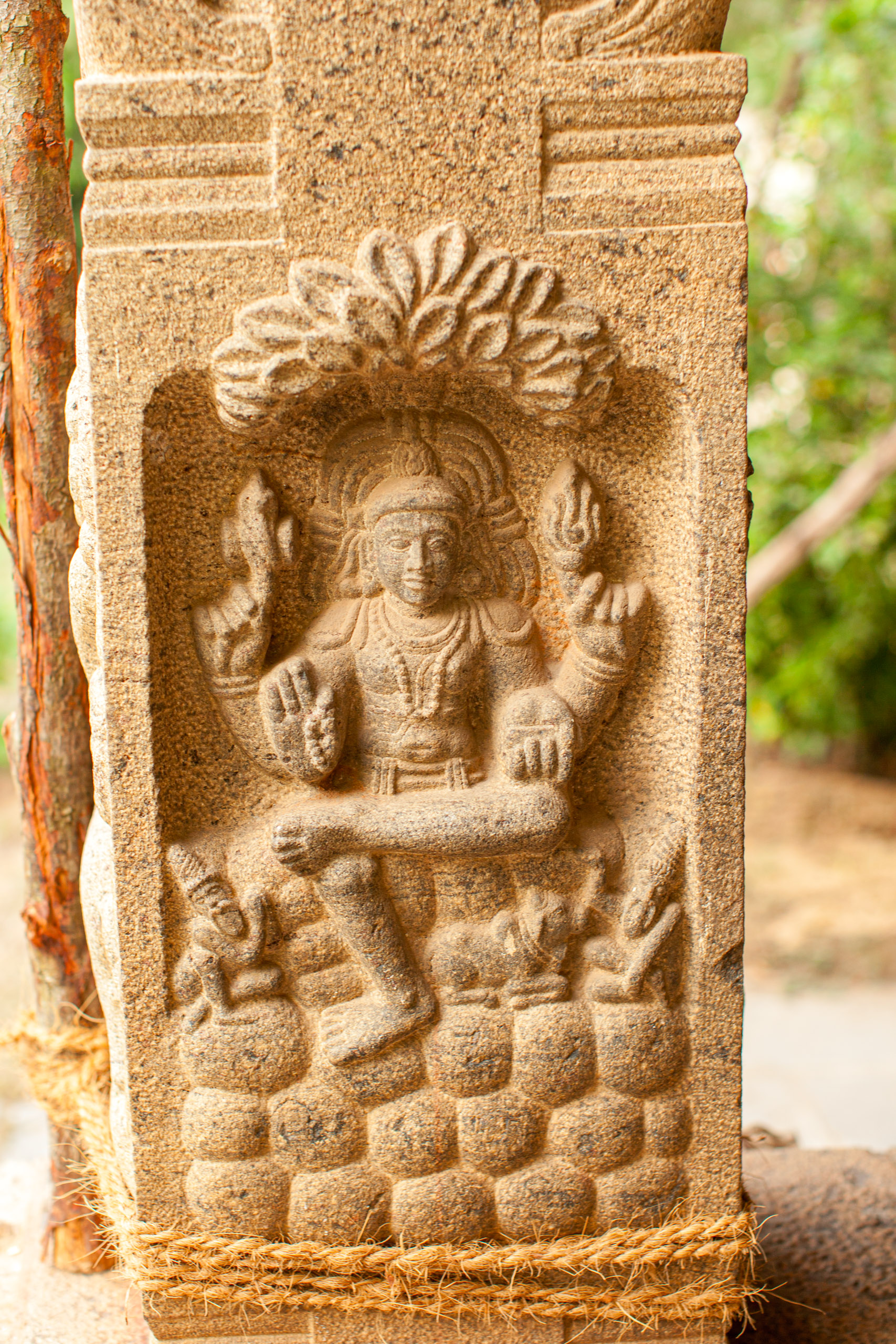 20110103171048 IMG 4098