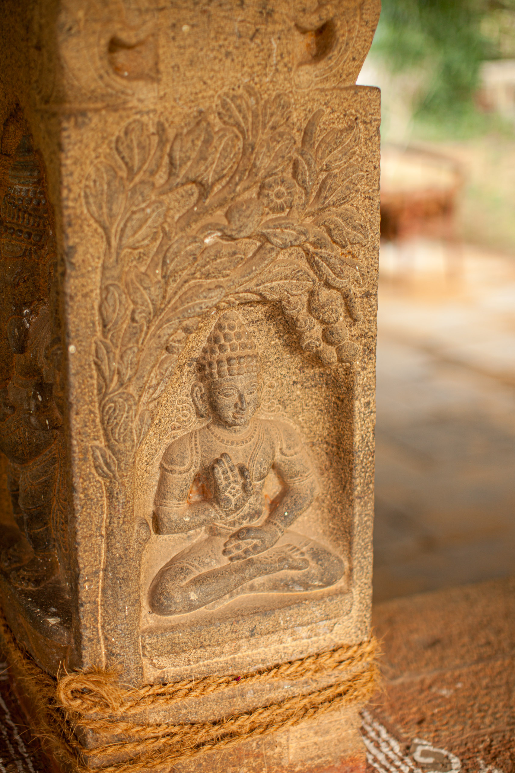 20110103171117 IMG 4099