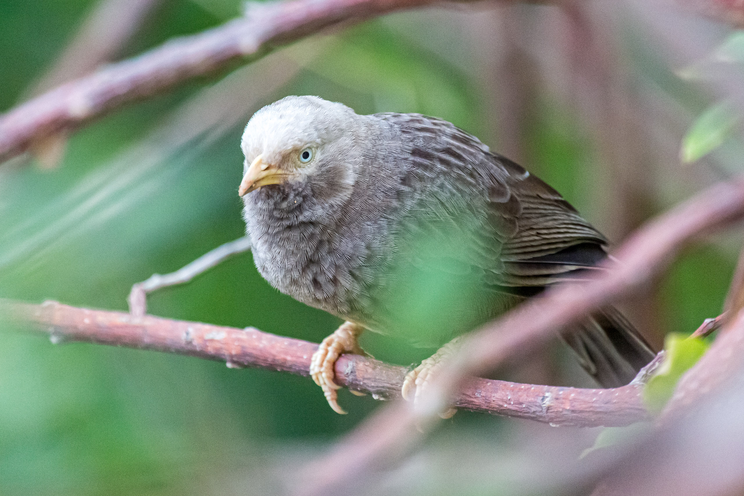 20130104073231 RD 27034