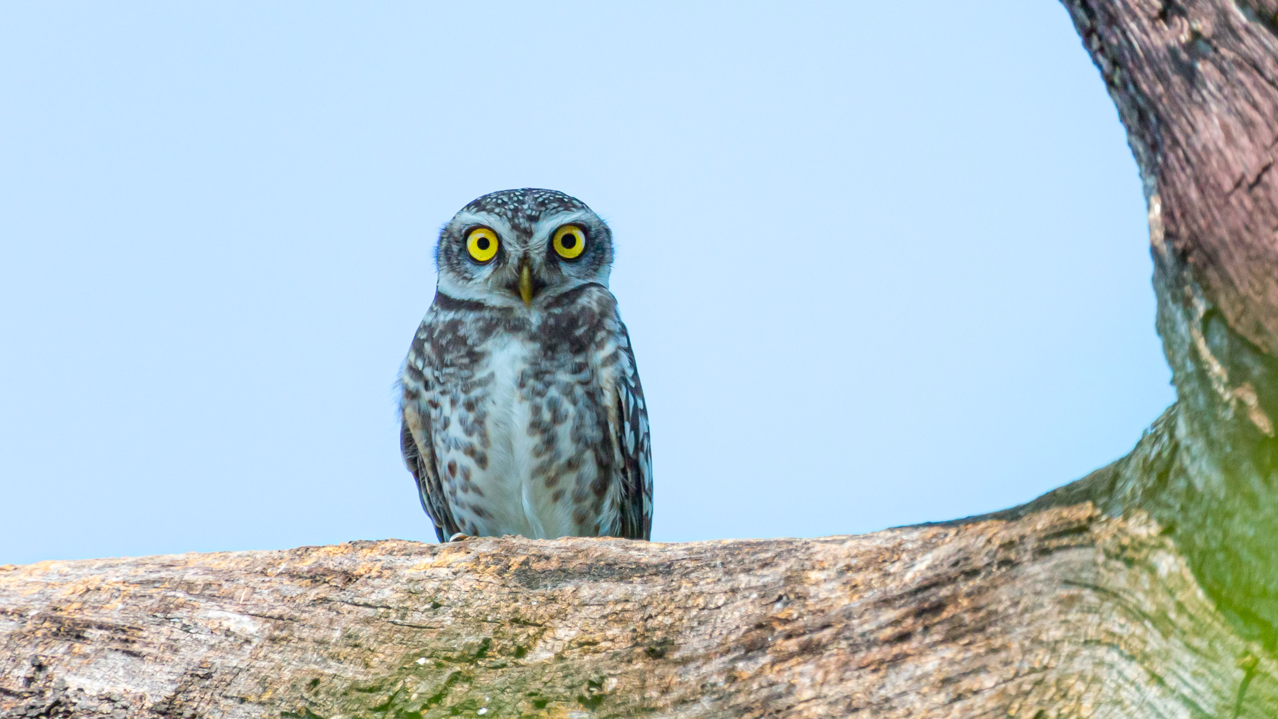 20130104105054 RD 27096