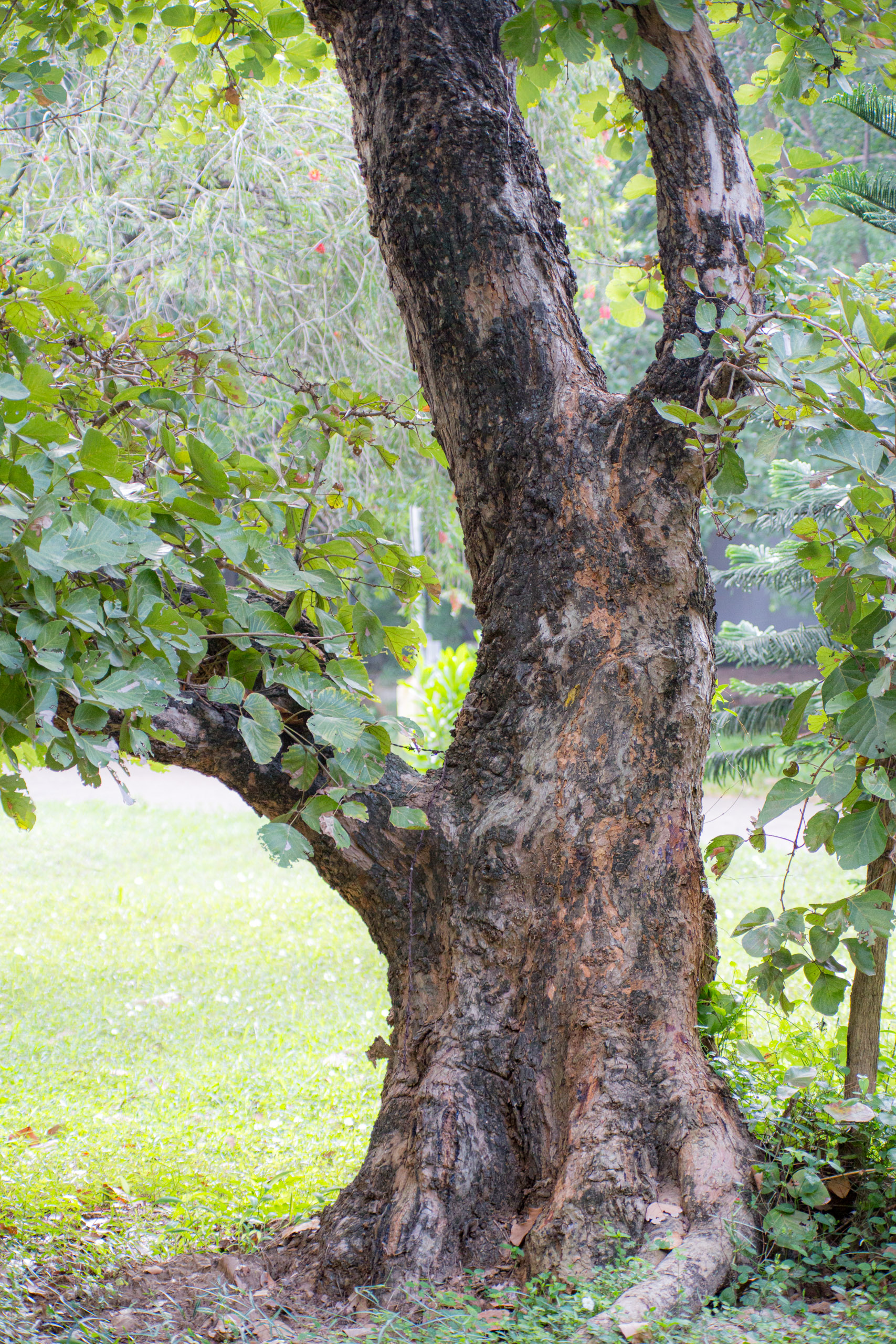 20130105084547 RD 27506