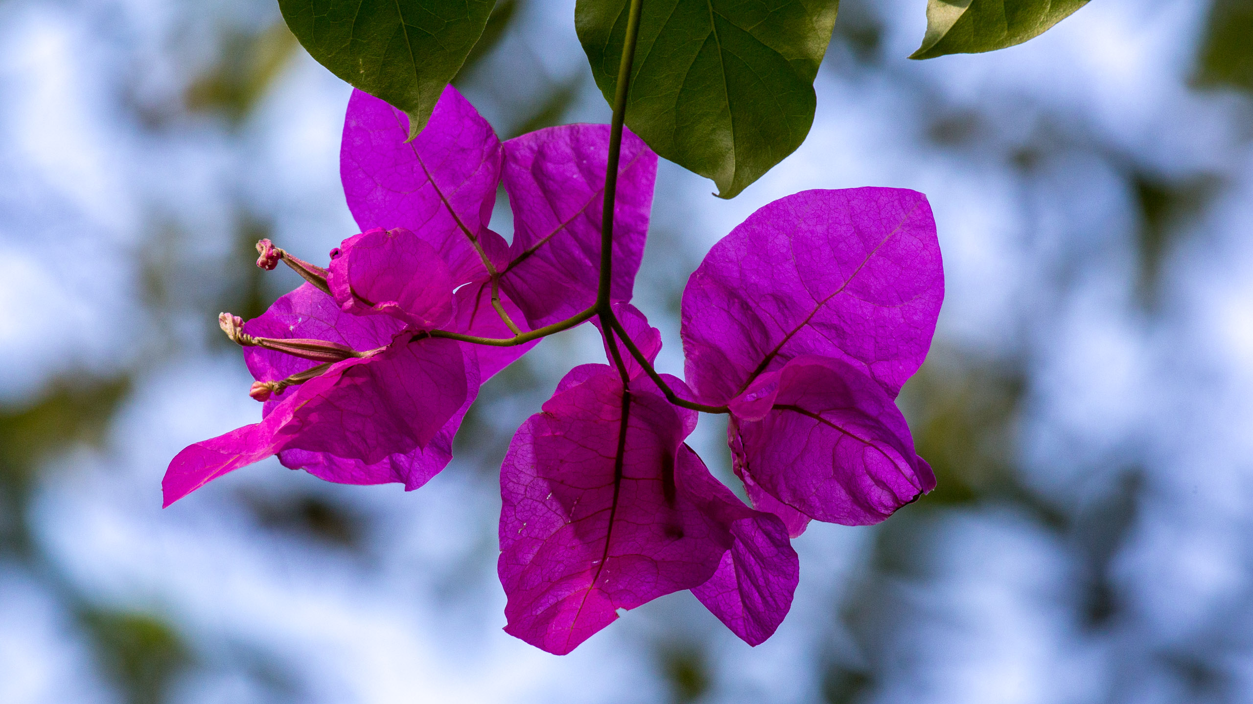 20130109144544 RD 28458