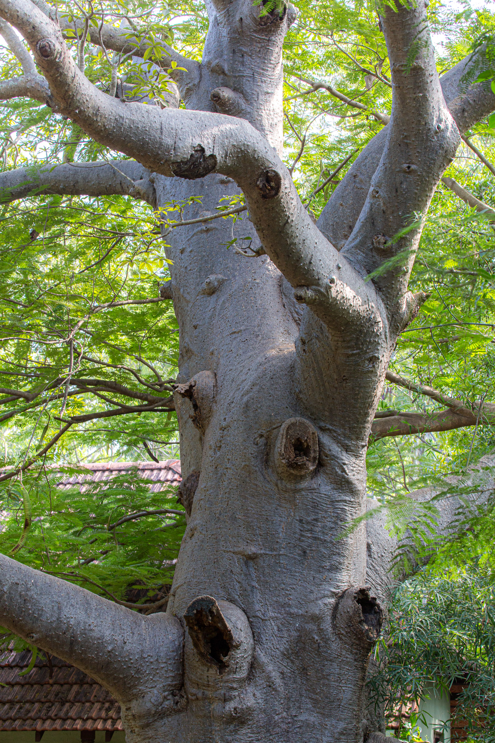 20130109144901 RD 28504