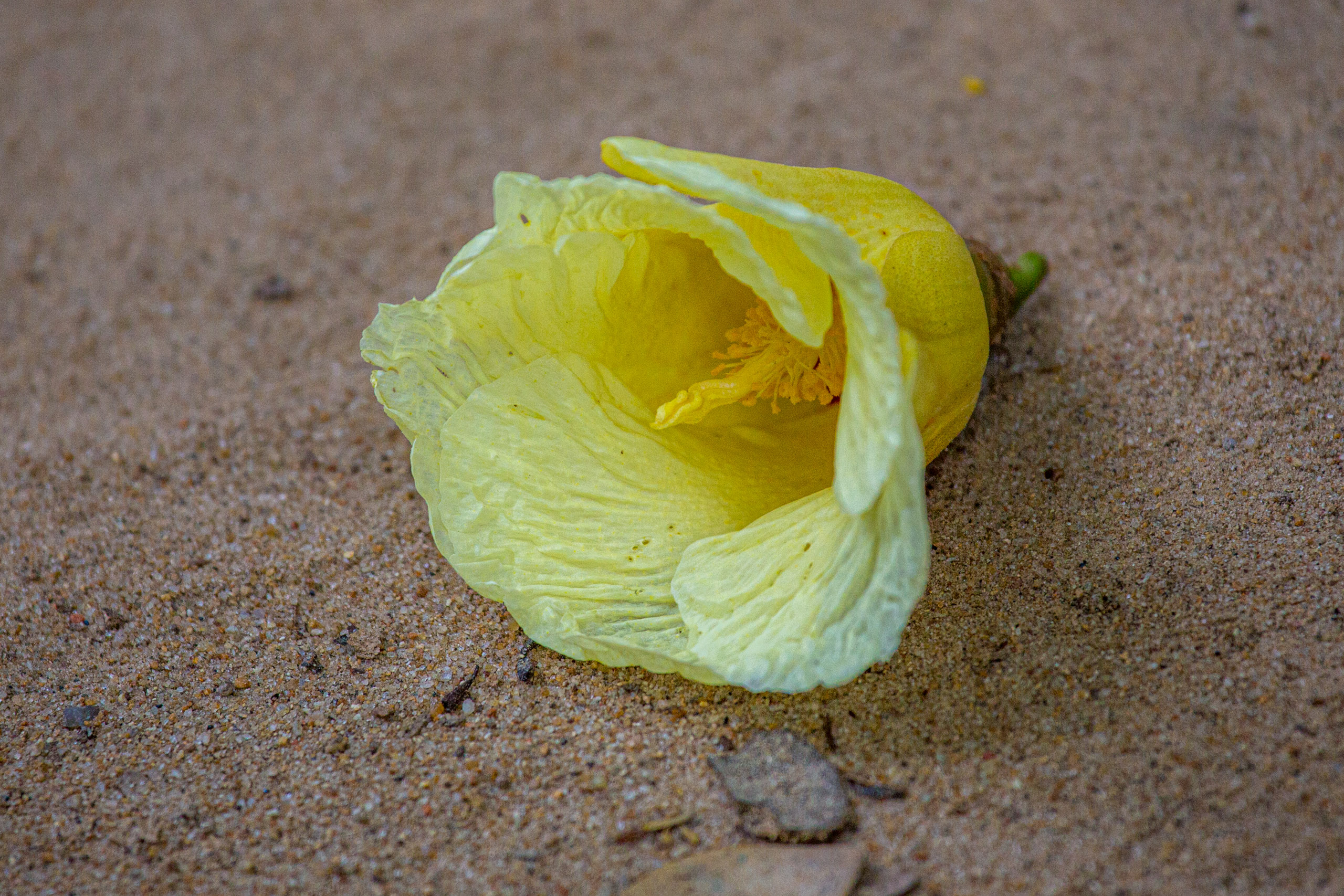 20130111112709 RD 20030