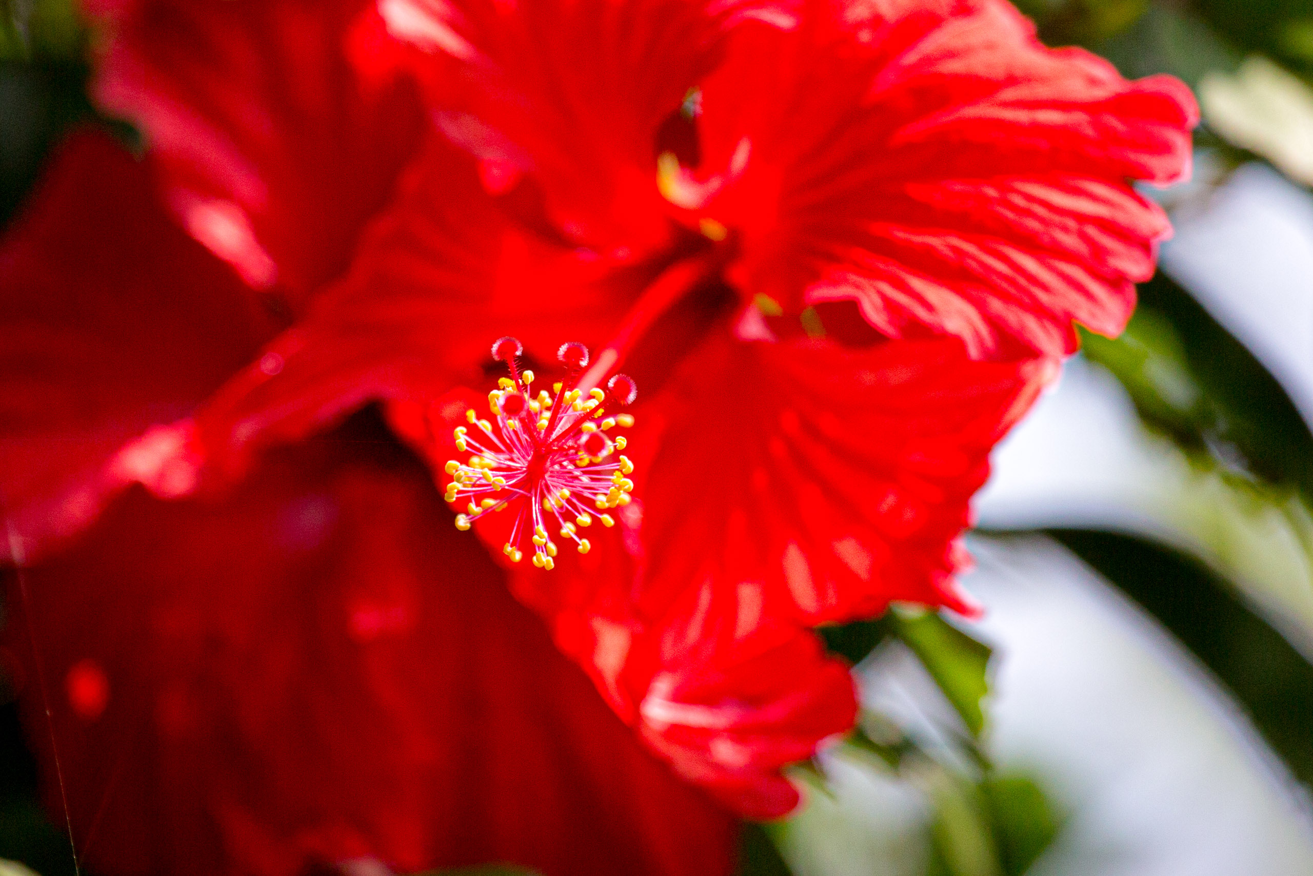 20130111123641 RD 20352