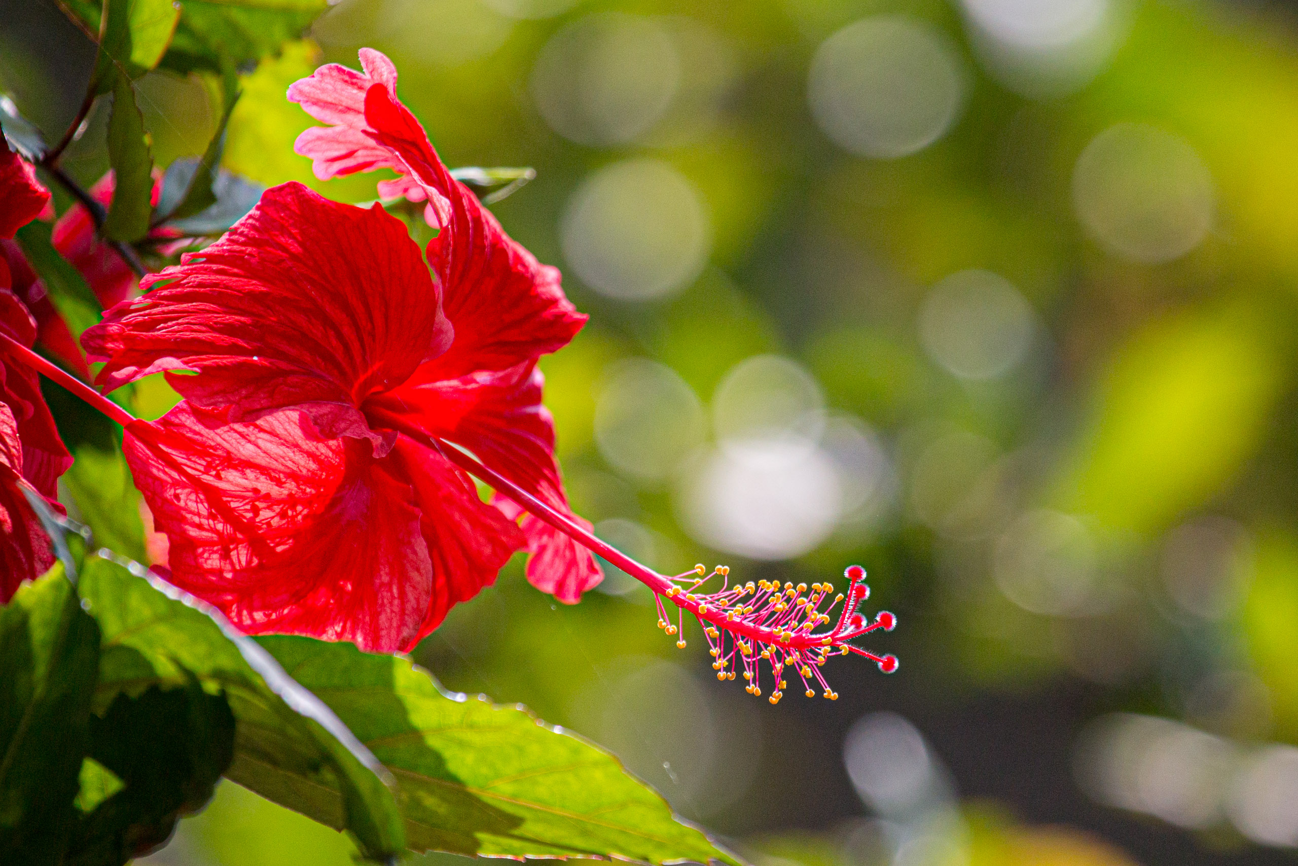 20130111123707 RD 20359