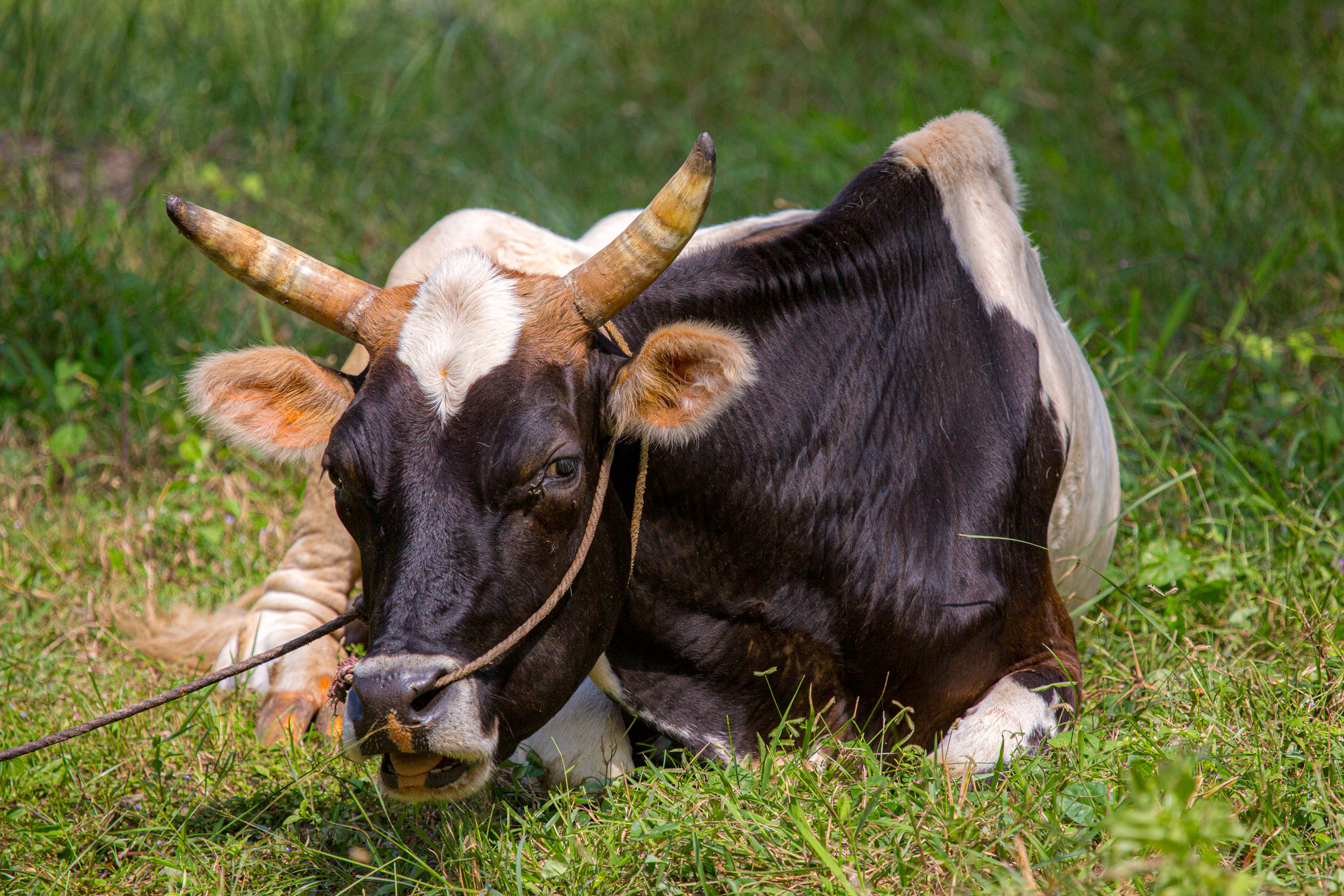 20130111125331 RD 20502