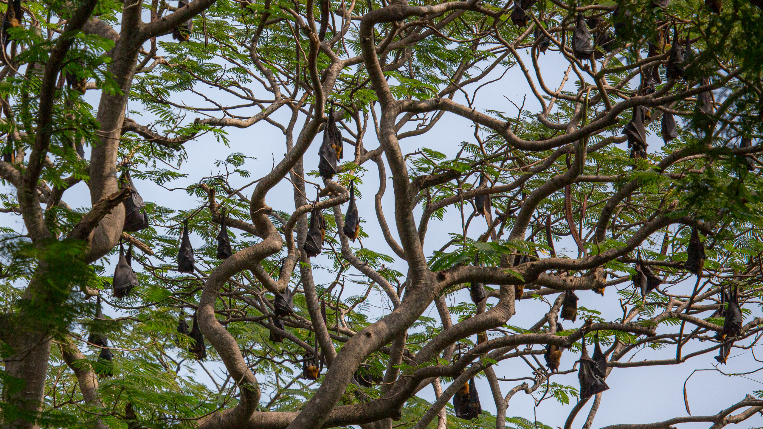 20130111125445 RD 20513