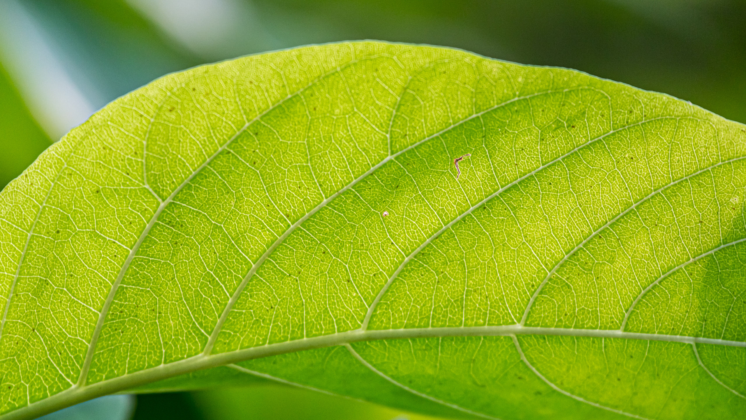 20130112080144 RD 20675