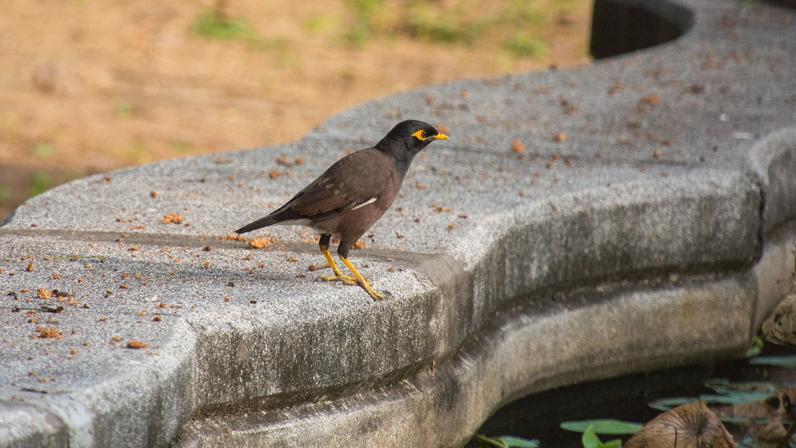 20130112082257 RD 20807