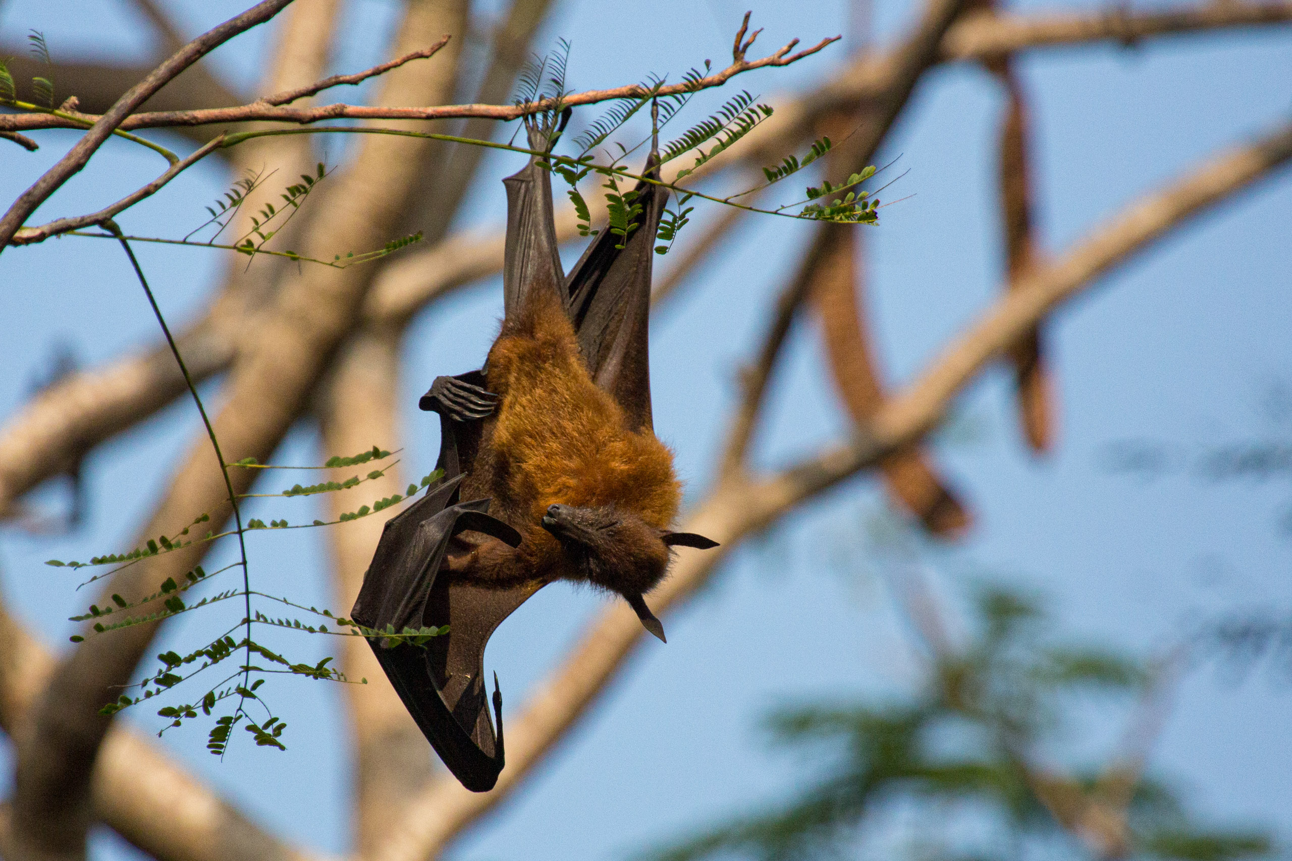 20130112083948 RD 20922