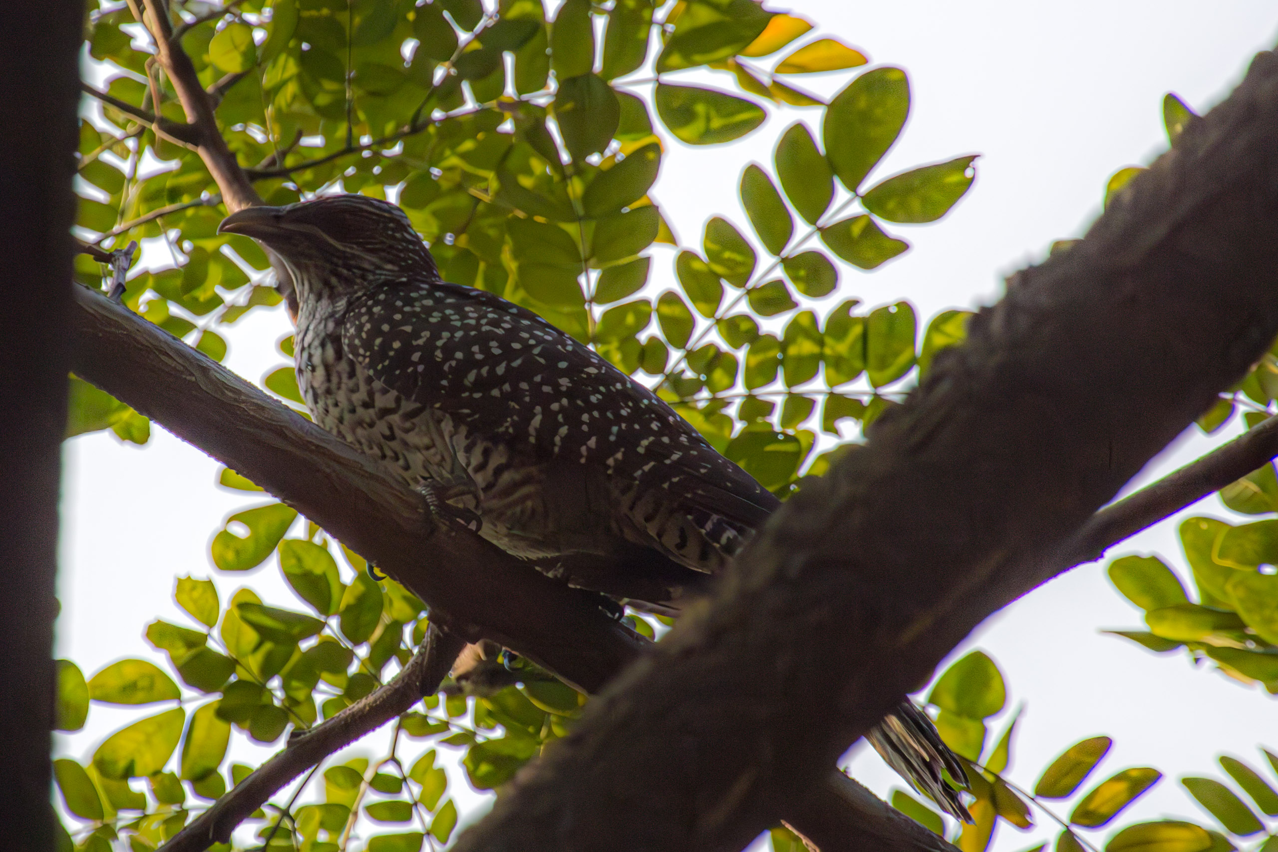 20130112084150 RD 20946 e