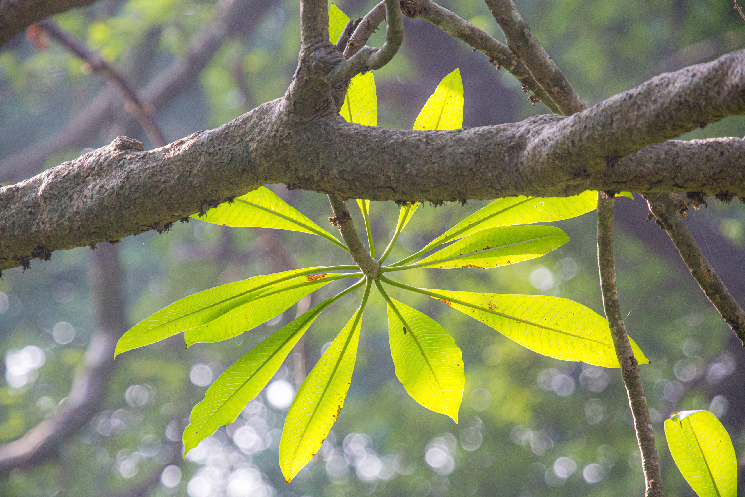 20130112084355 RD 20973