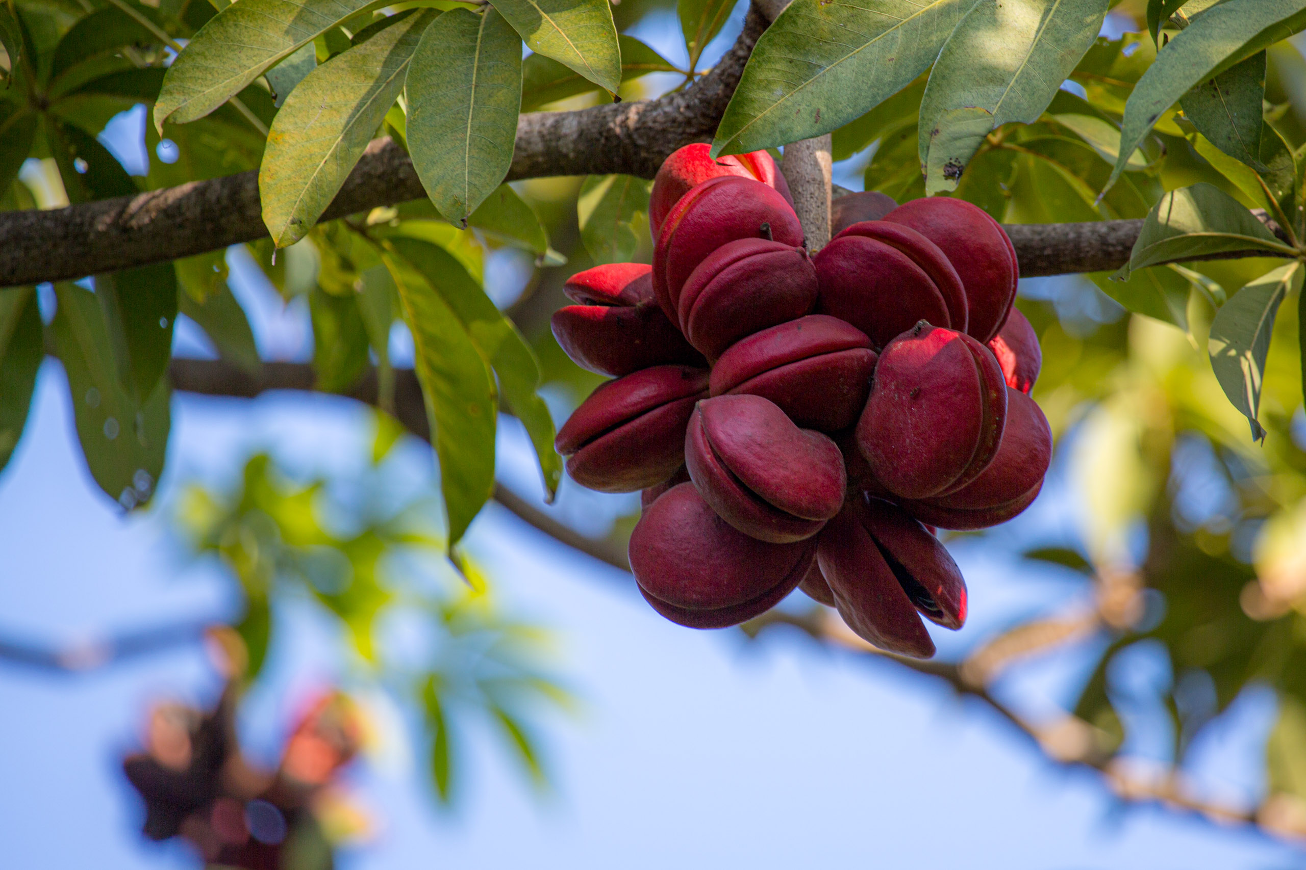 20130121160416 RD 25724