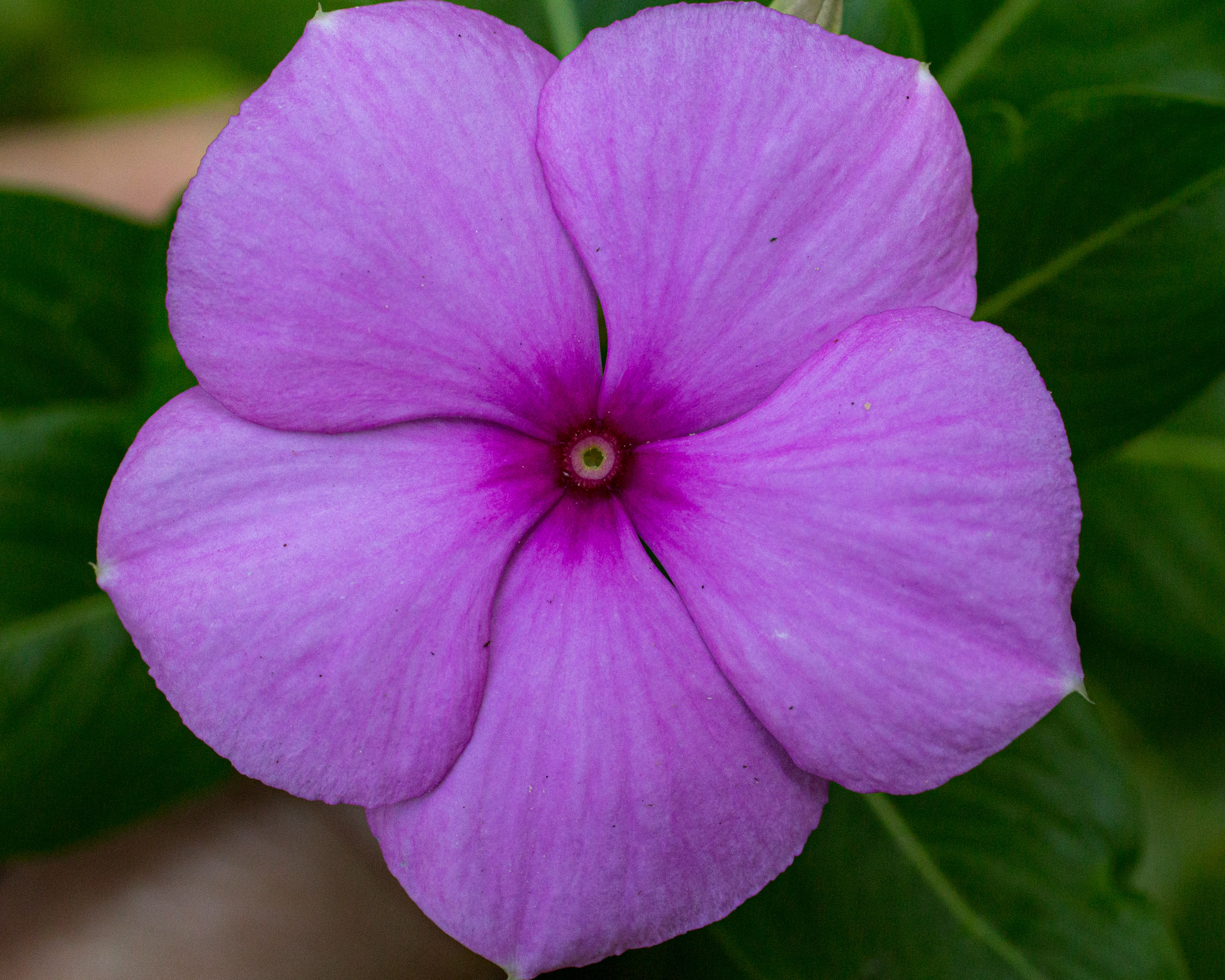 20130123110538 RD 26391