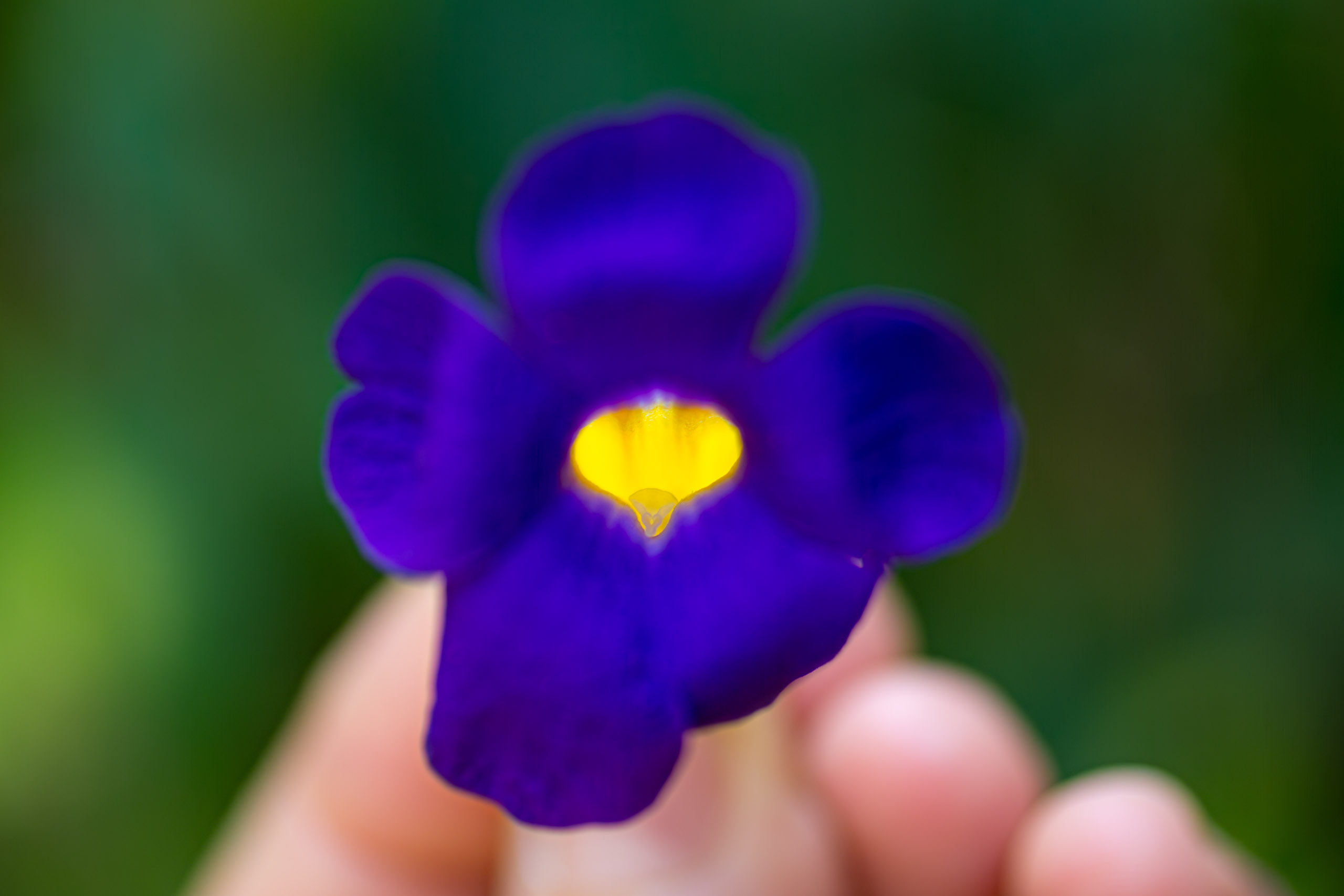 20130123112609 RD 26574 e