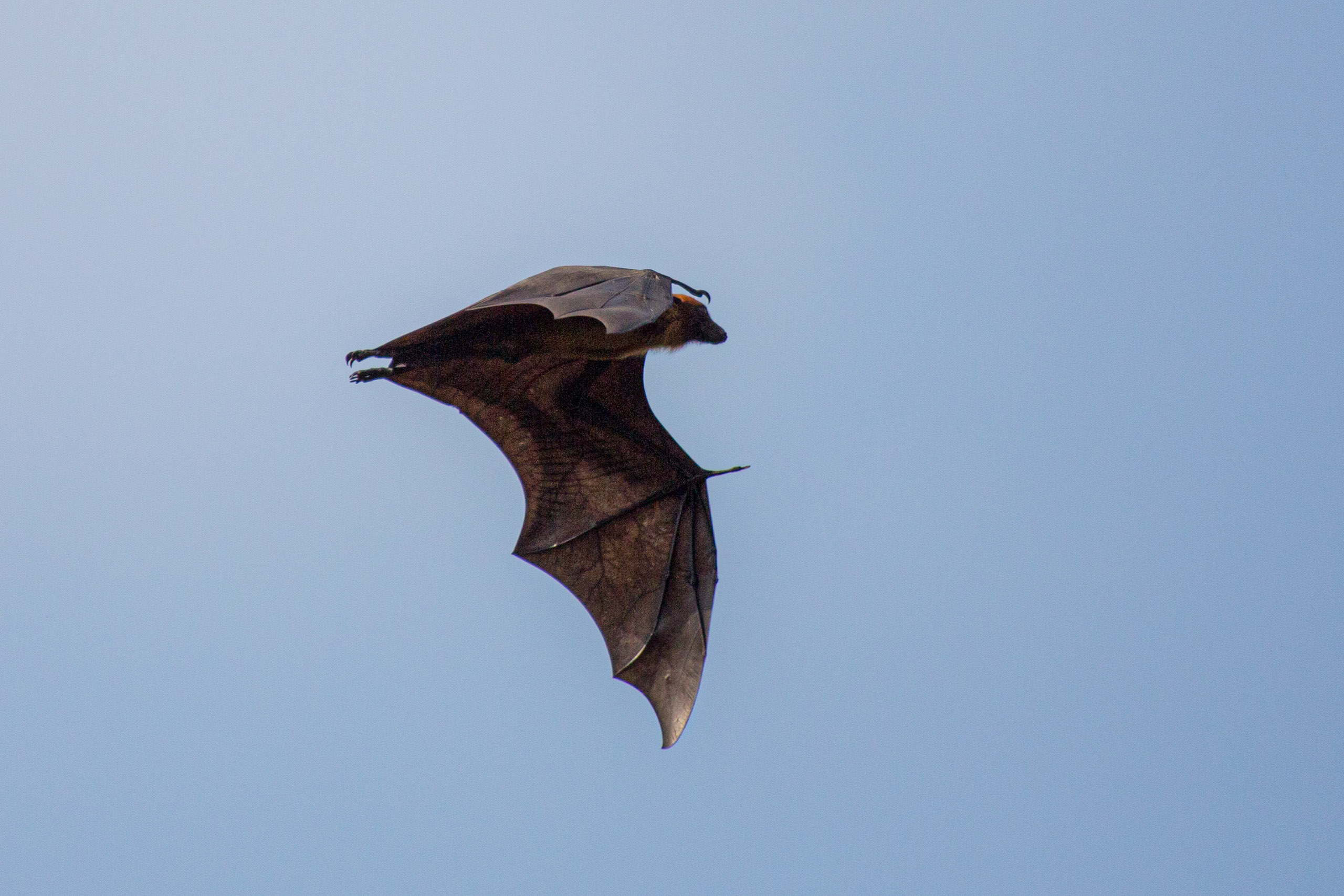 20130125152240 RD 26960