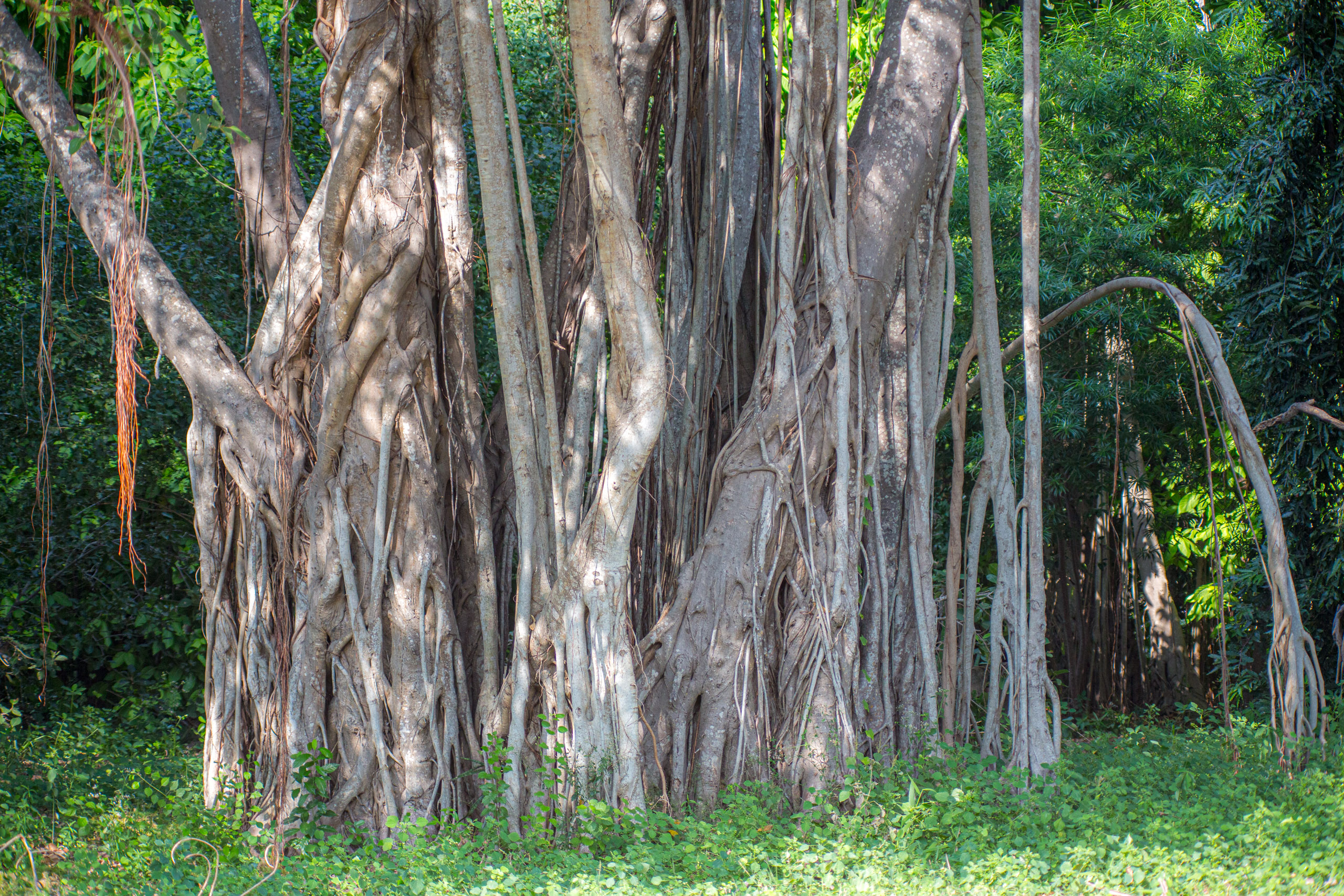 20130125152318 RD 26987