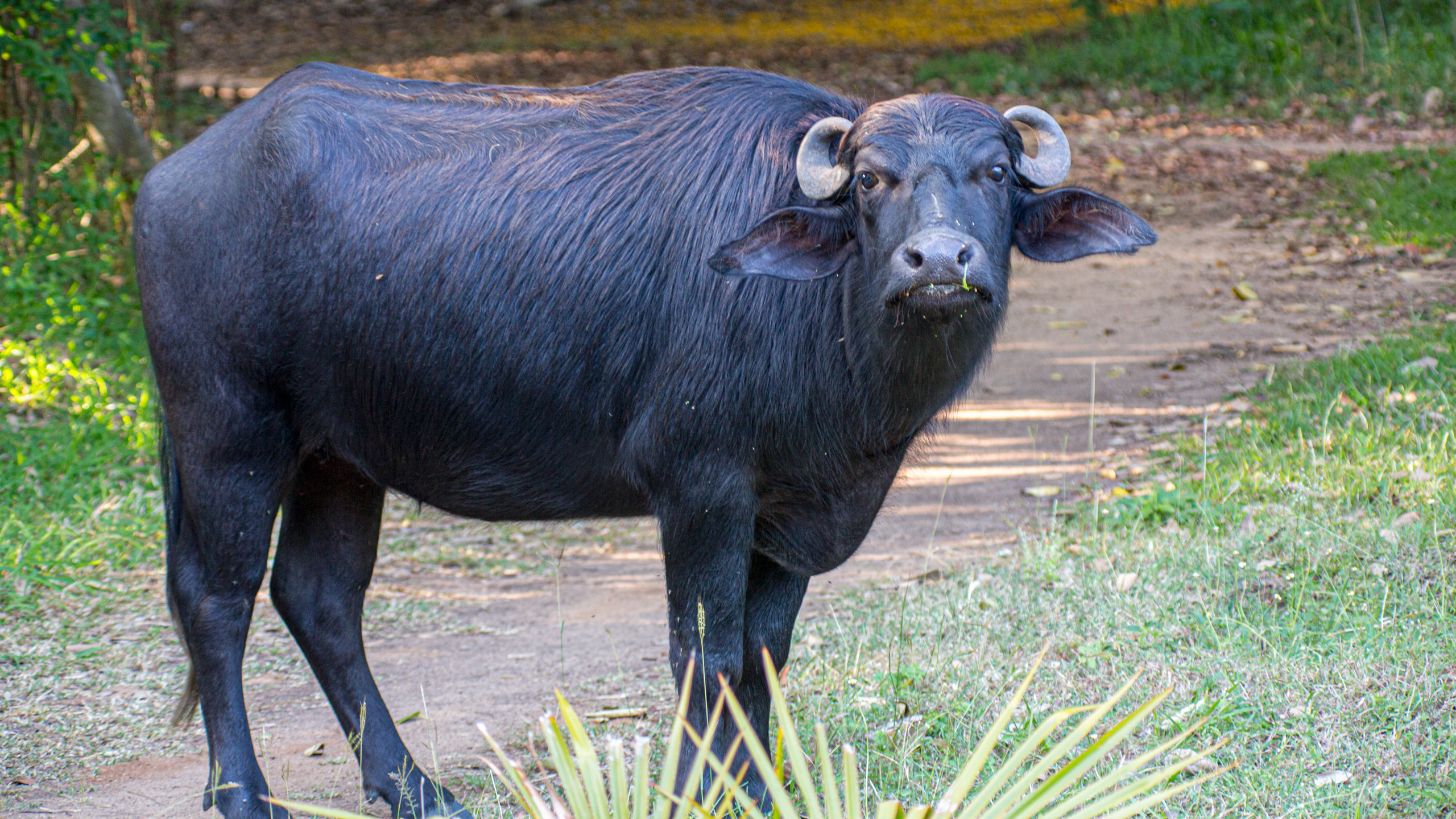 20130125162837 RD 27189