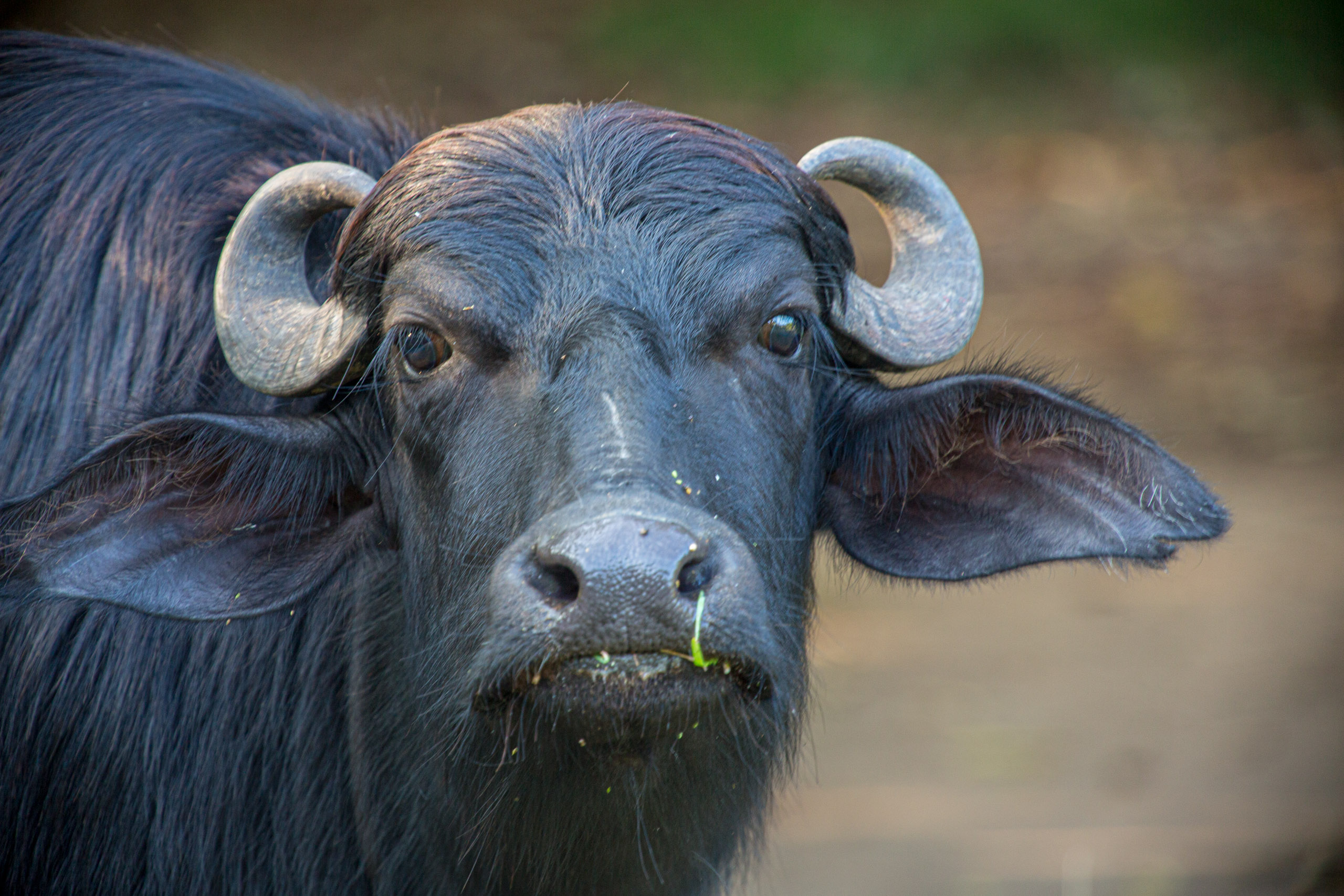 20130125162841 RD 27195