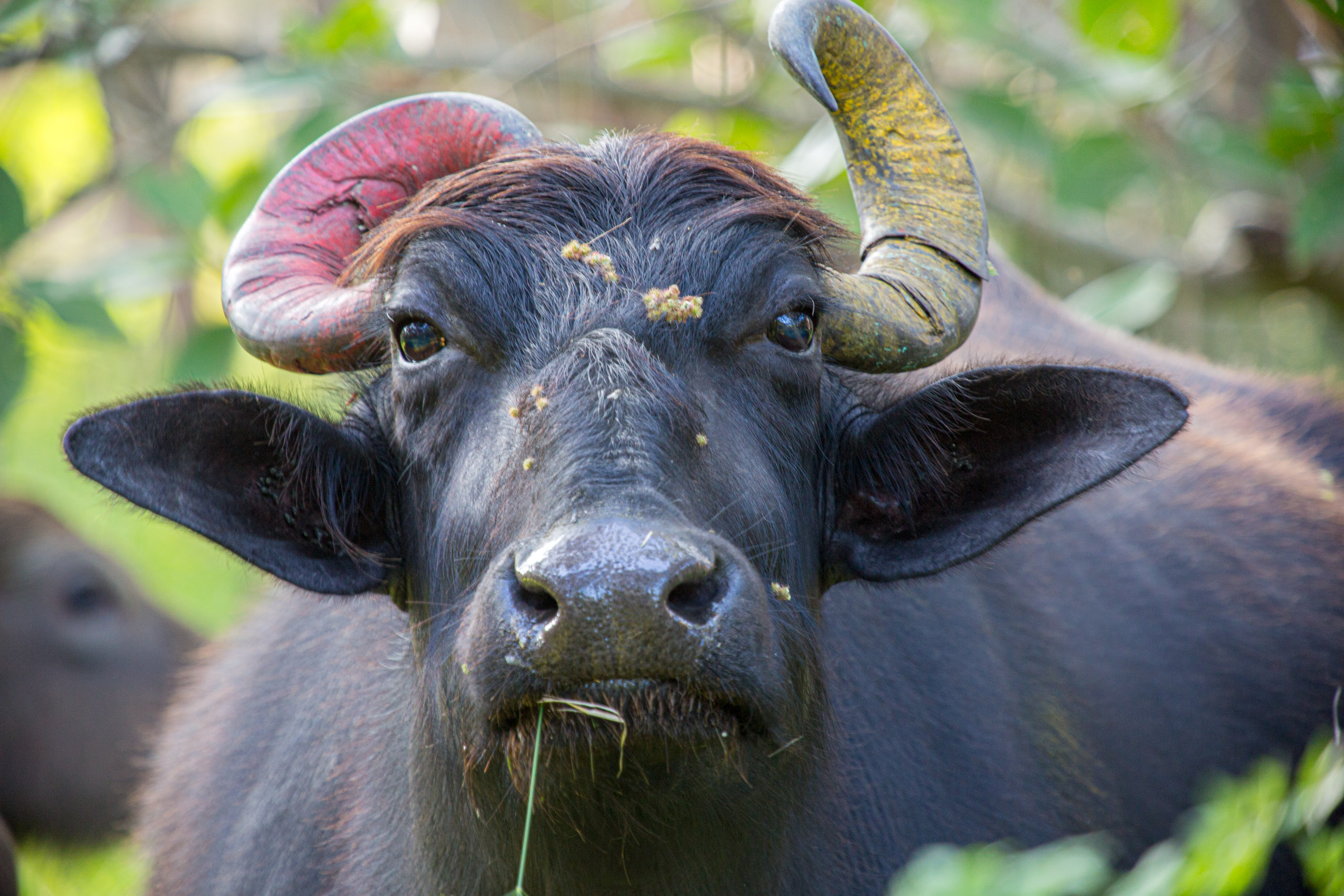 20130125163017 RD 27224