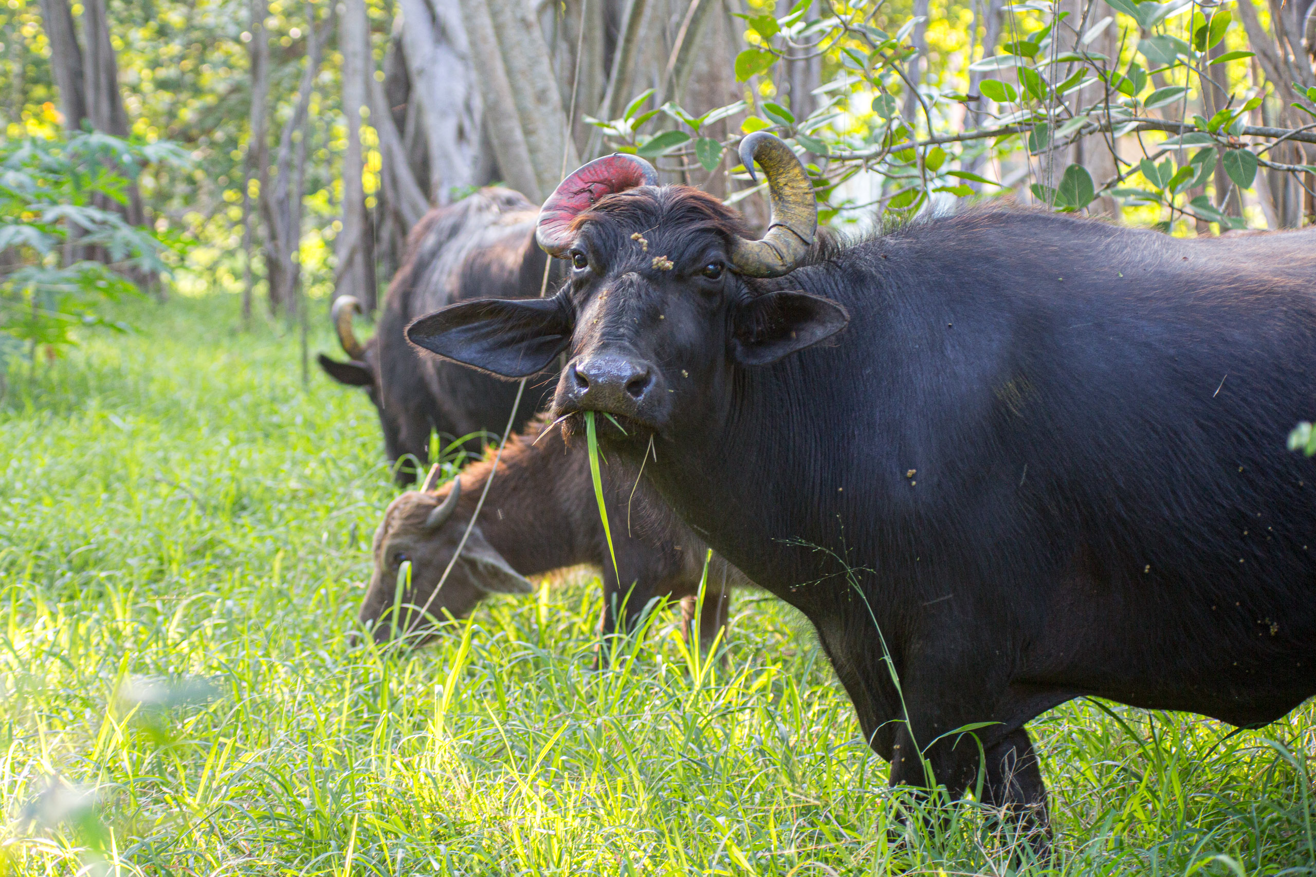 20130125163039 RD 27244