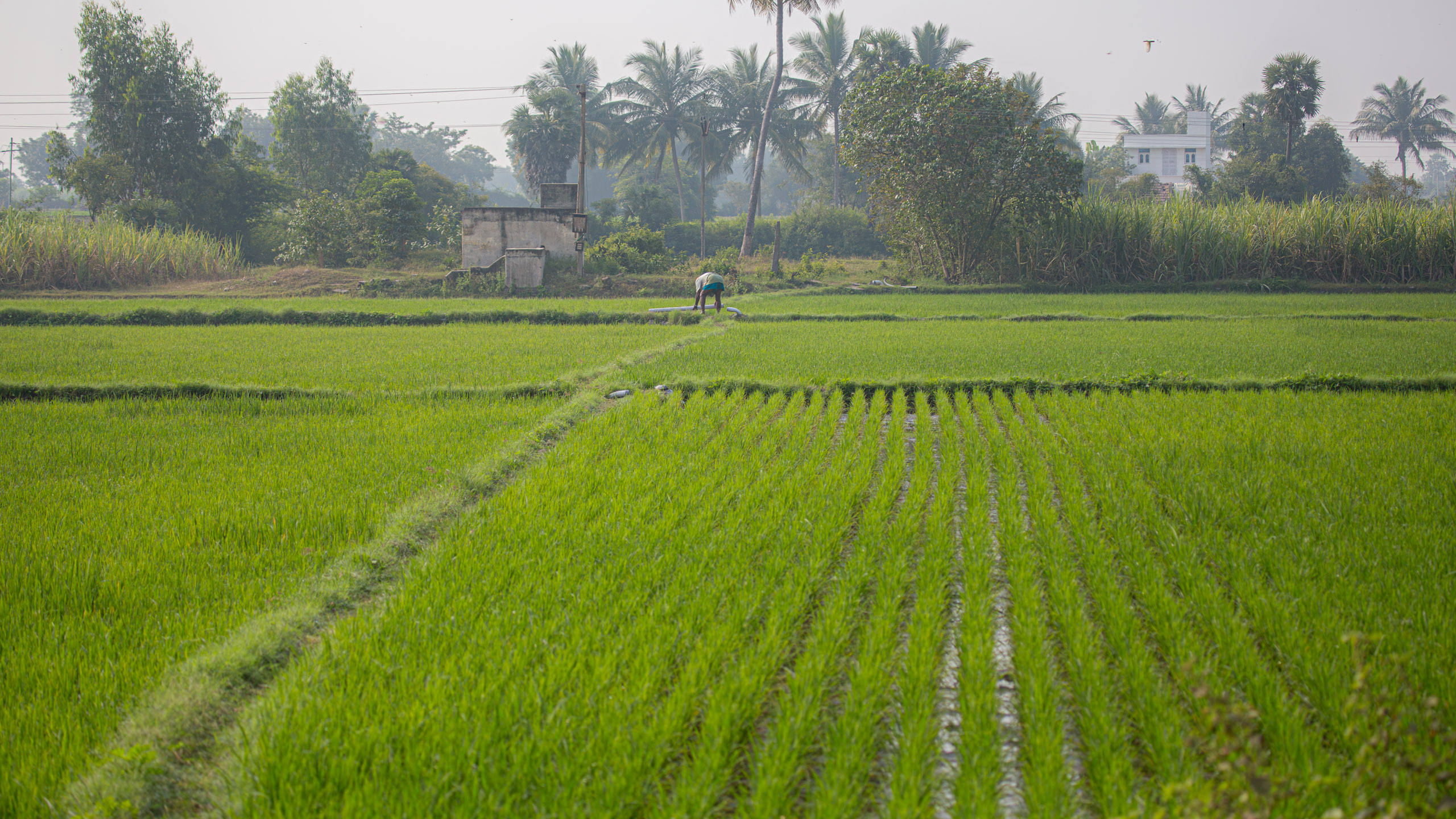 20130113090909 RD 21192 e