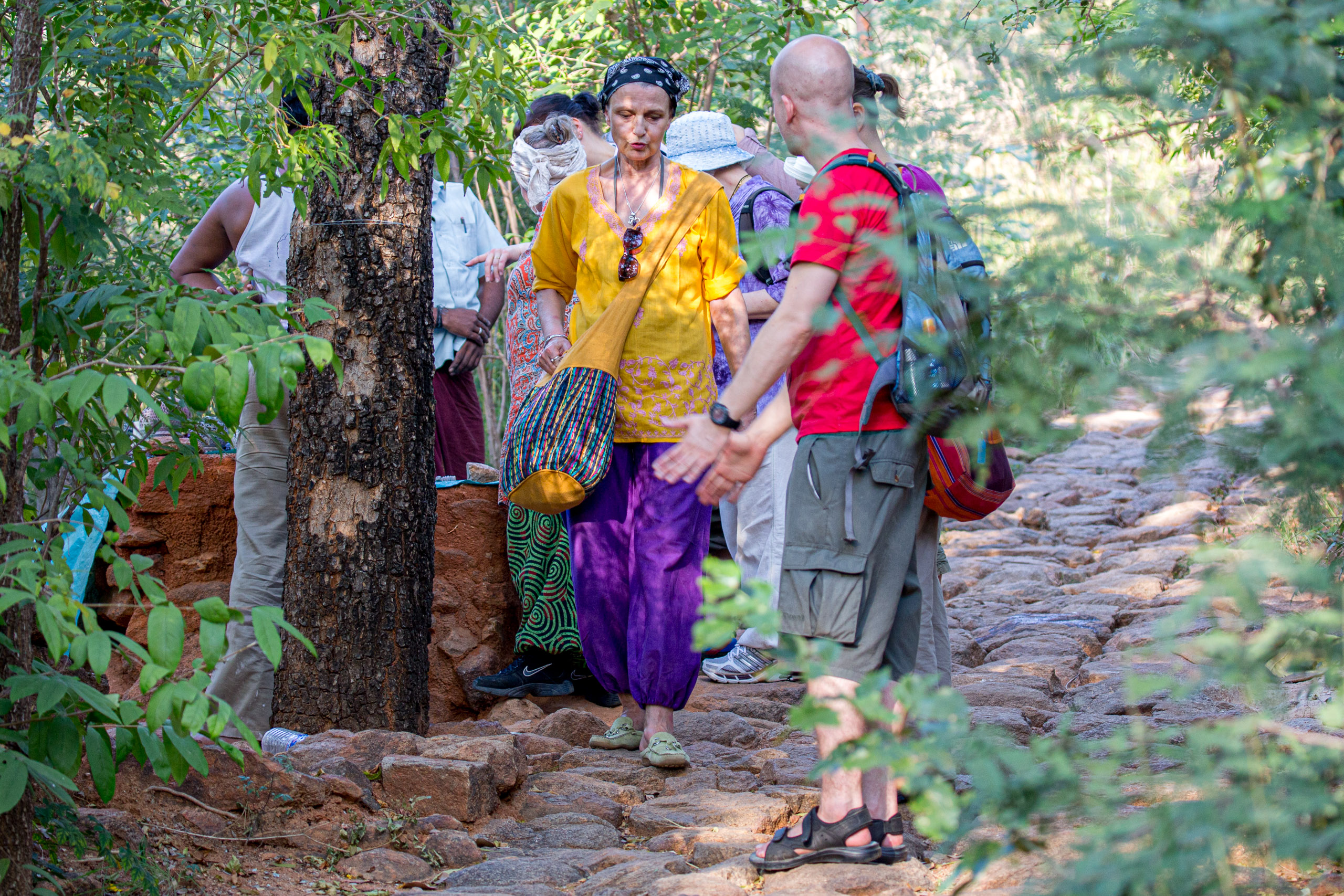 20130113164044 RD 21529