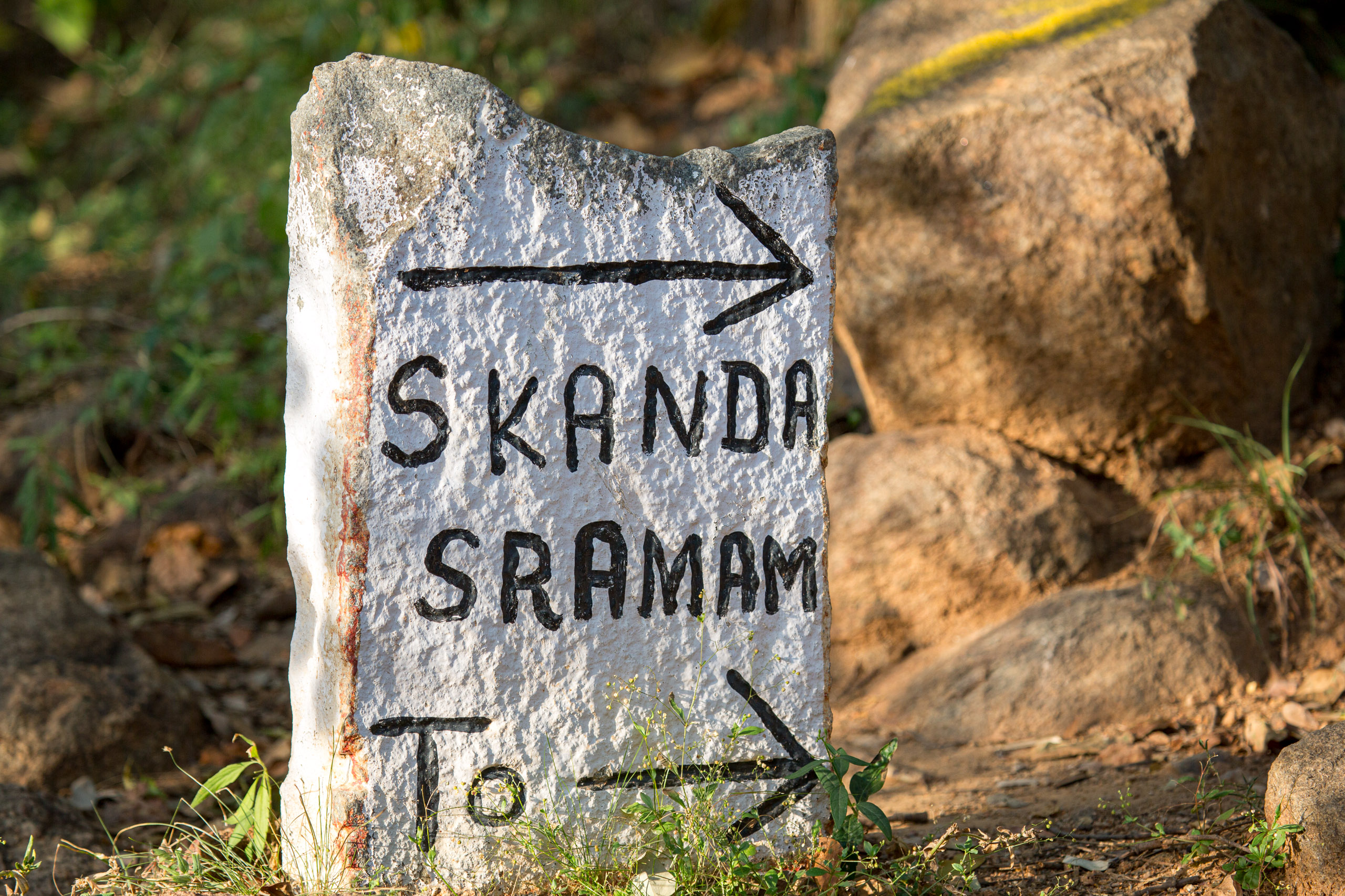 20130113164121 RD 21533