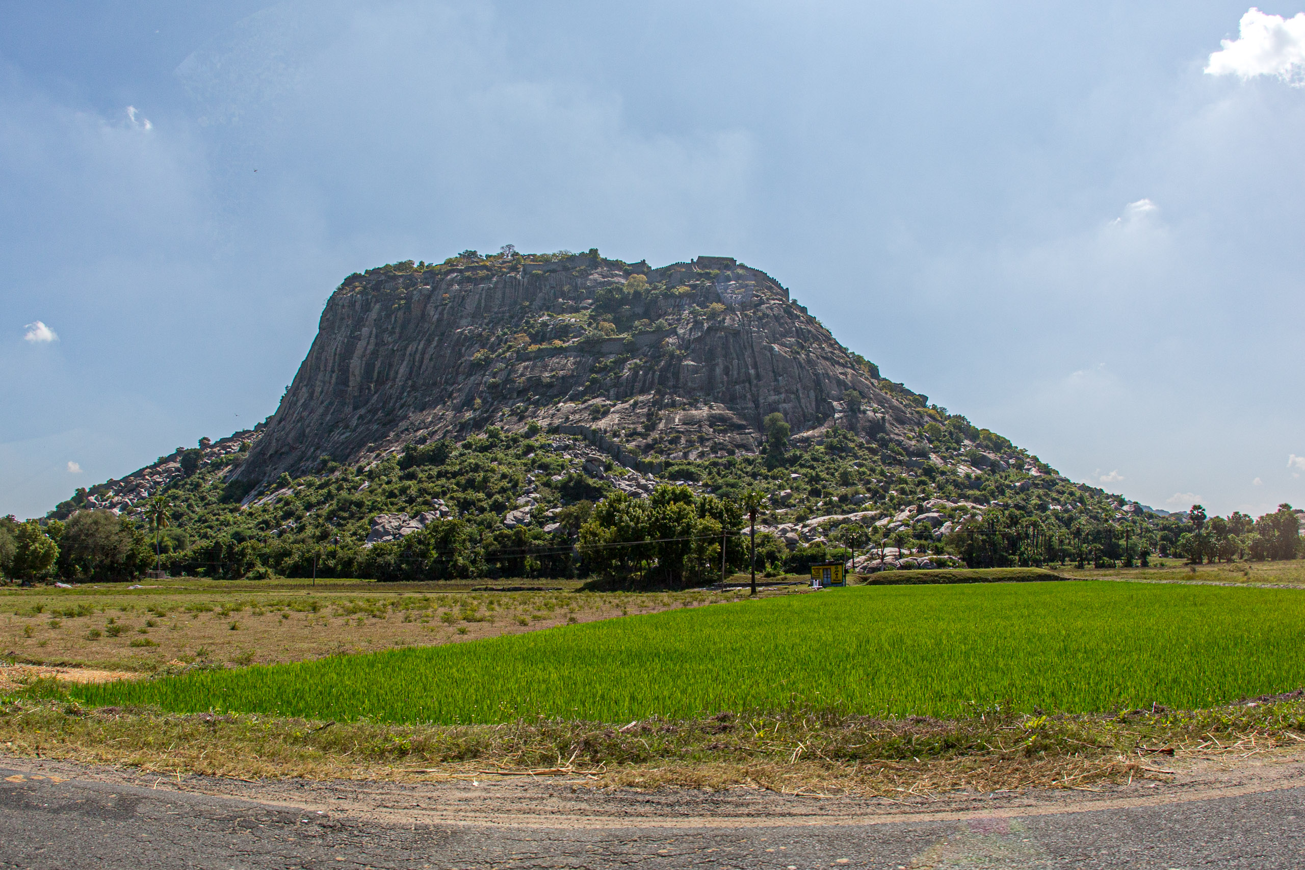 20130120122953 RD 25364