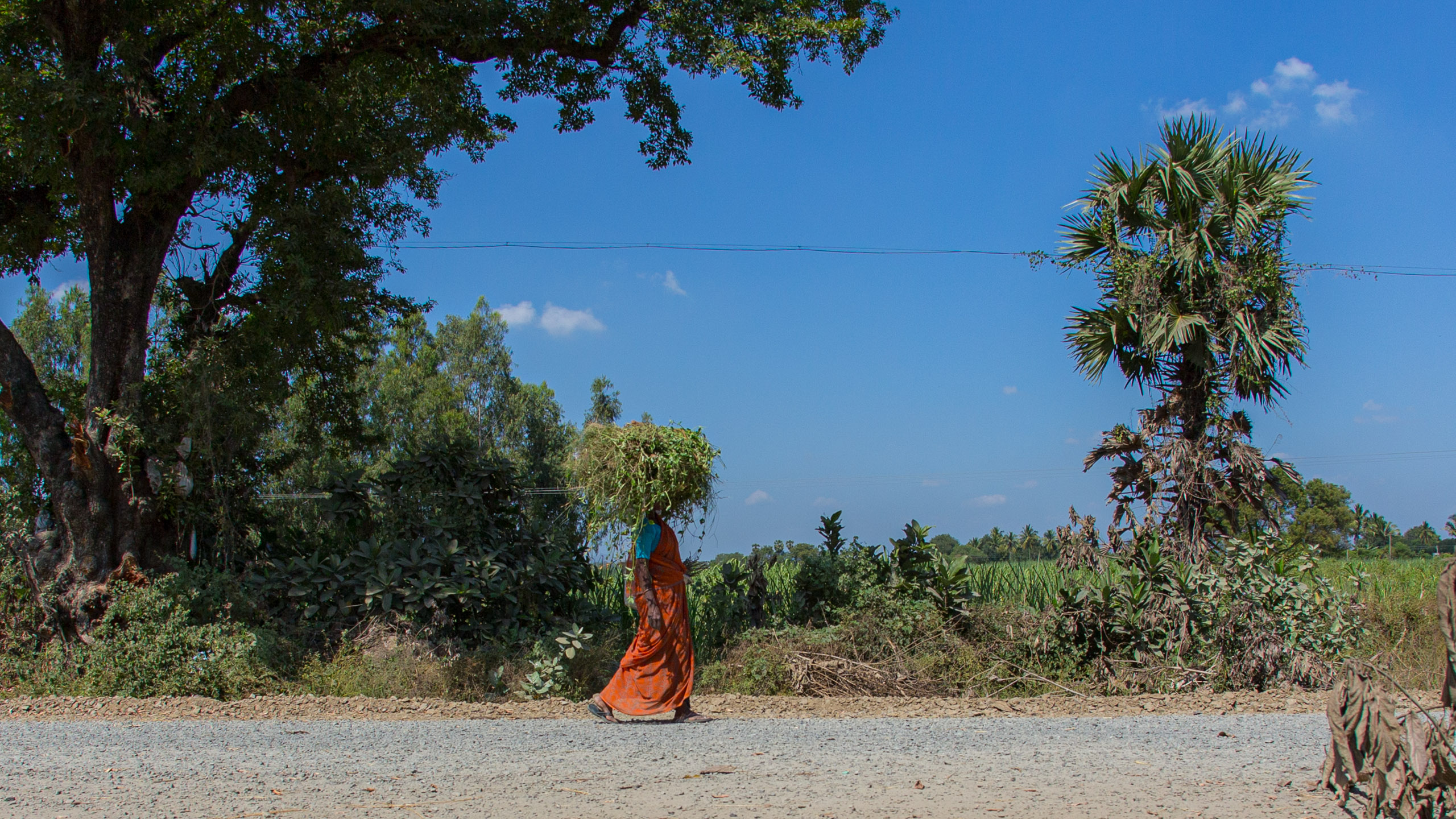 20130120124145 RD 25448