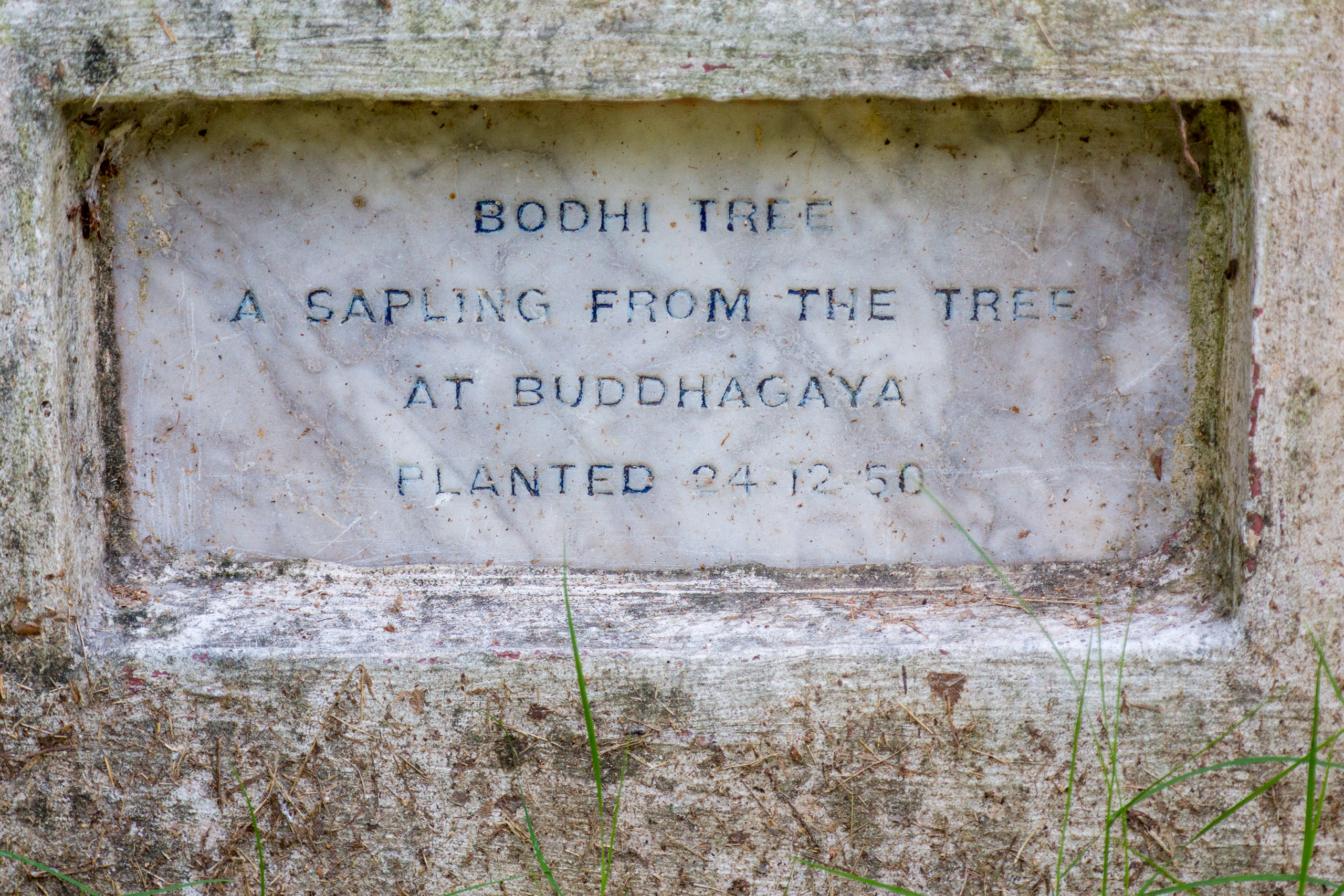 20130105082433 RD 27343