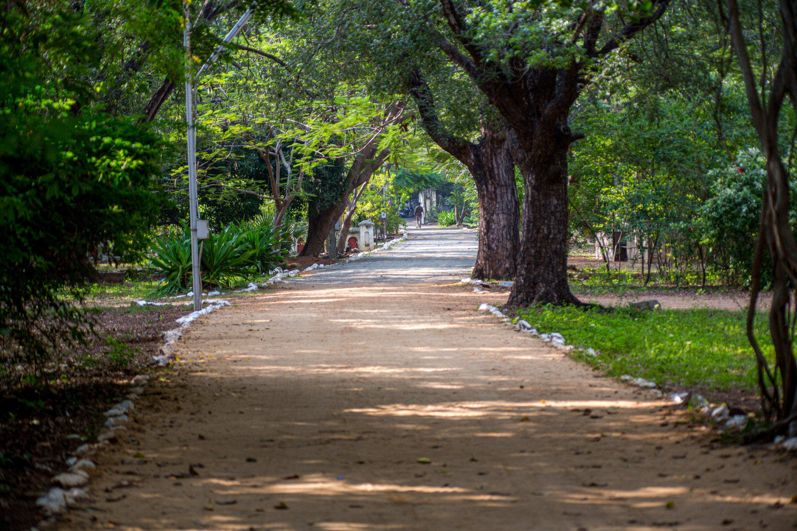 20130105093458 RD 27728