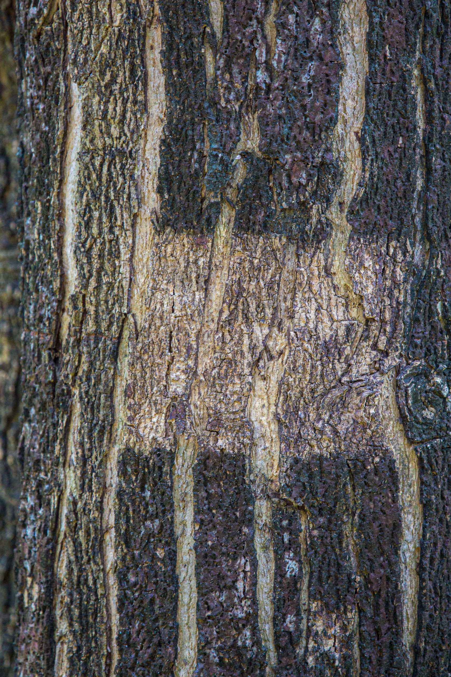 20130111113802 RD 20083