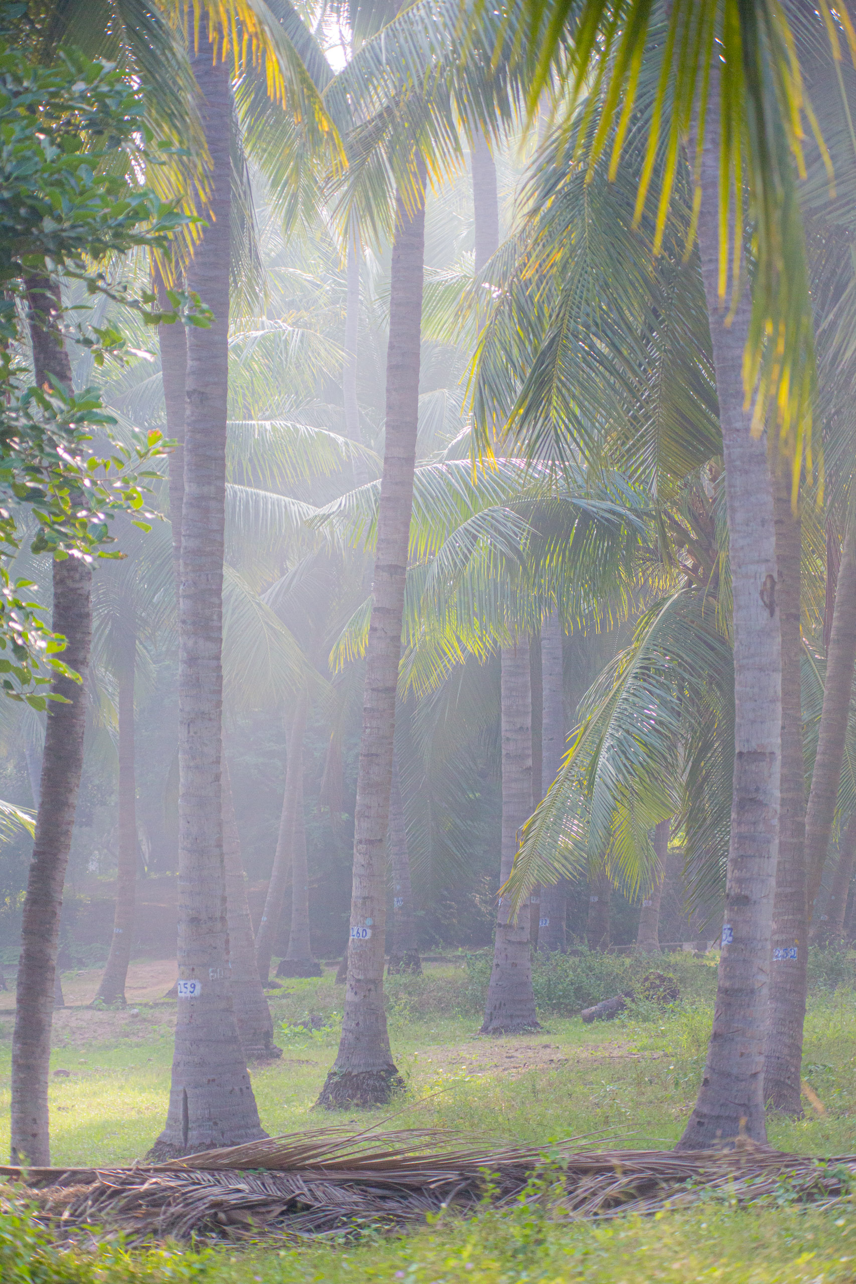 20130112082855 RD 20825