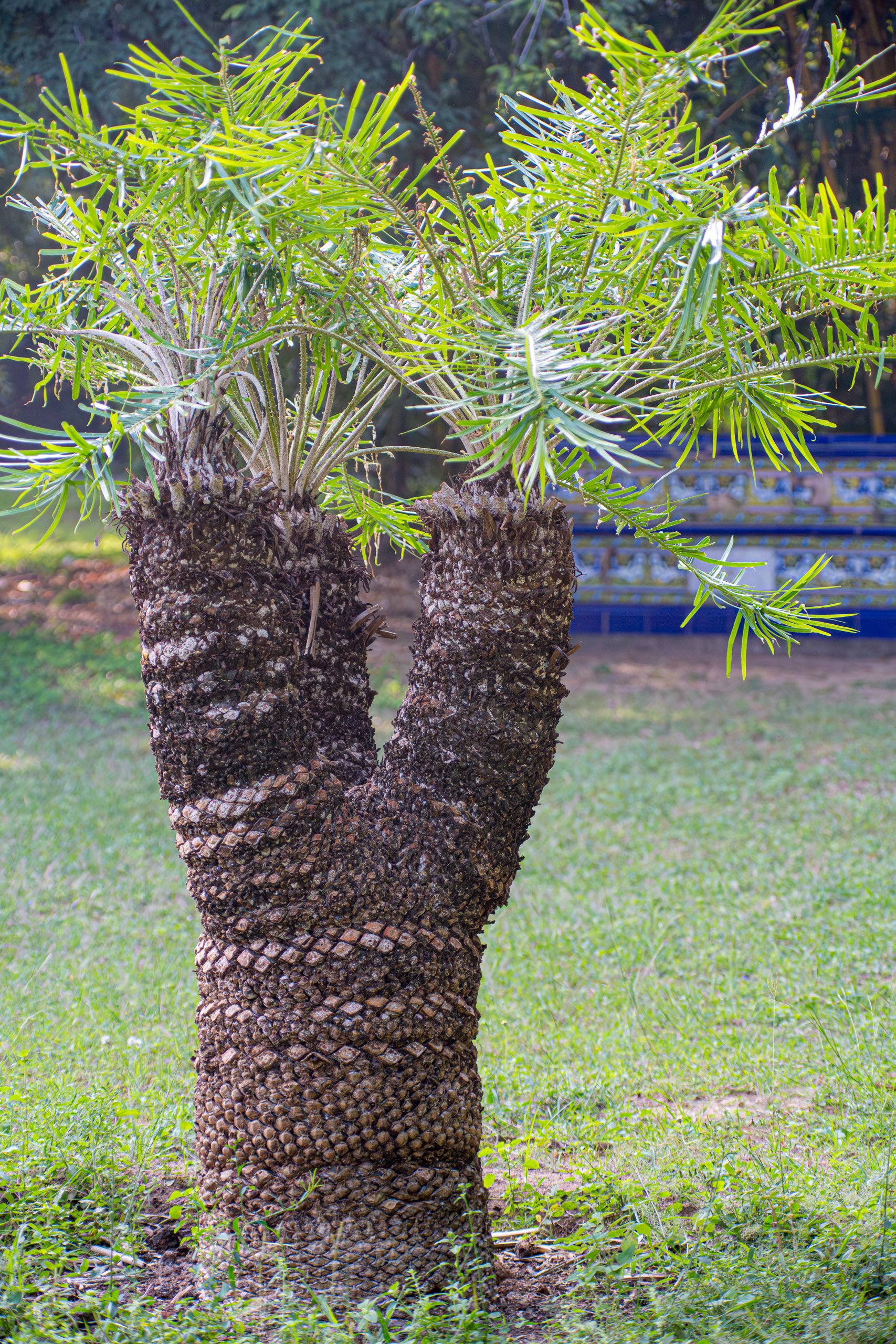 20130112084610 RD 20979 e