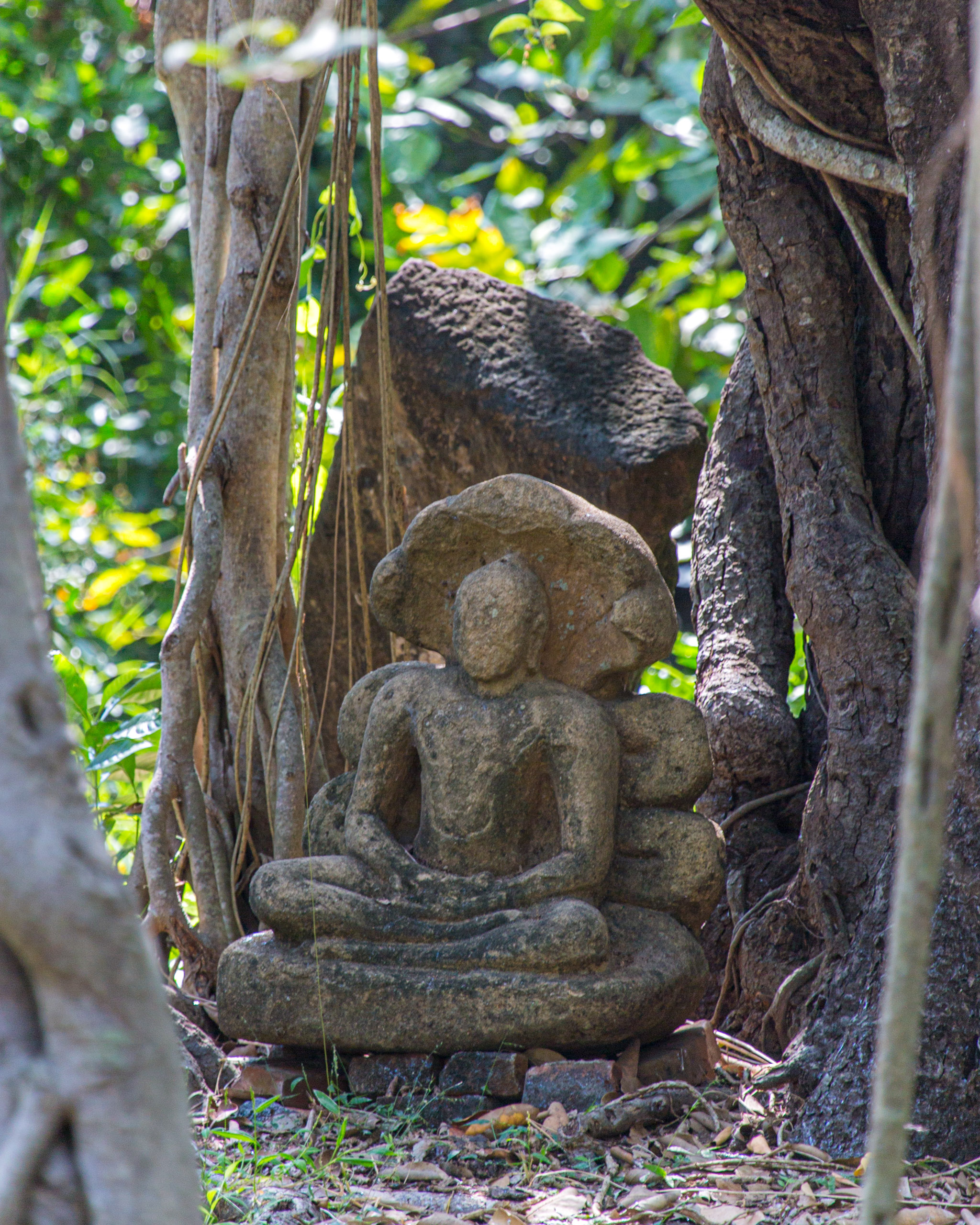 20130121110931 RD 25720