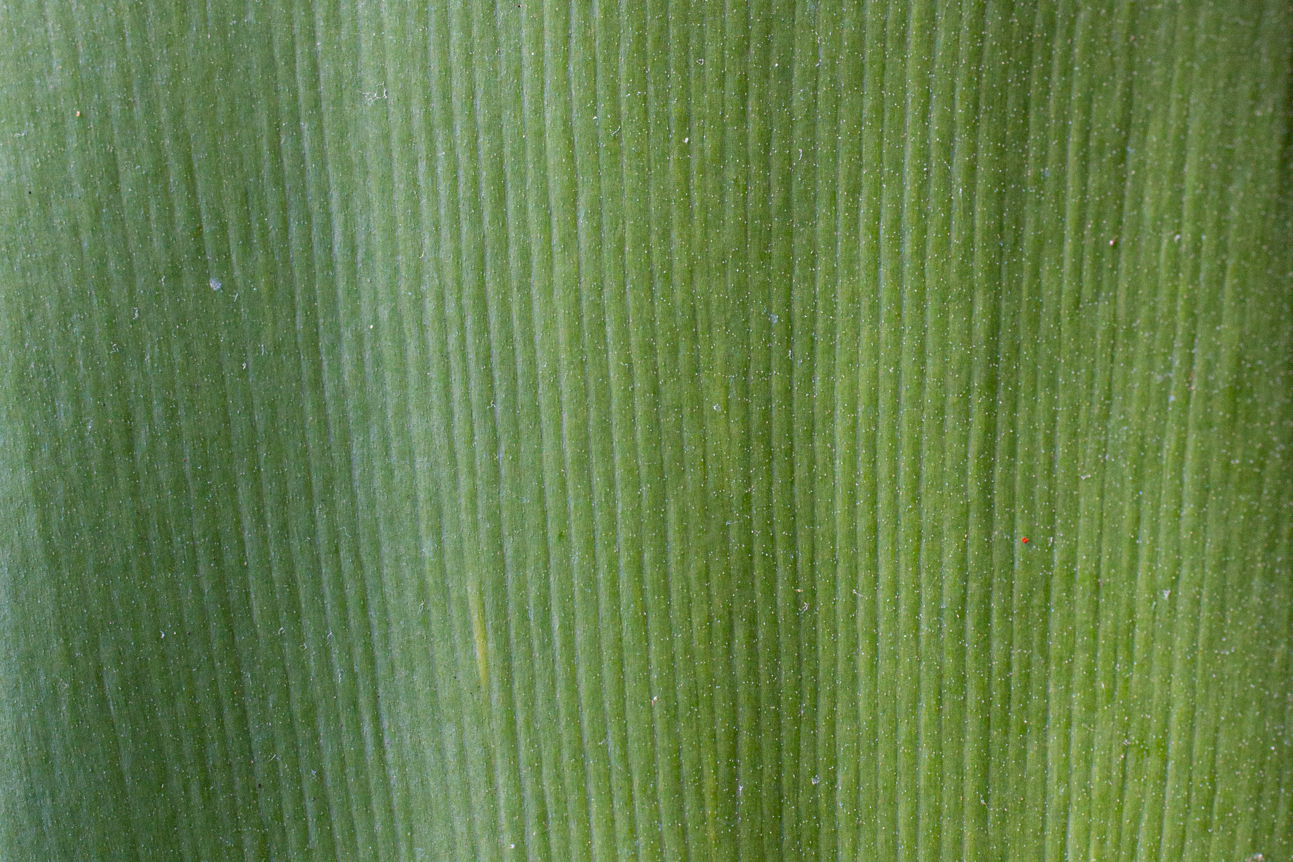 20130123104948 RD 26196