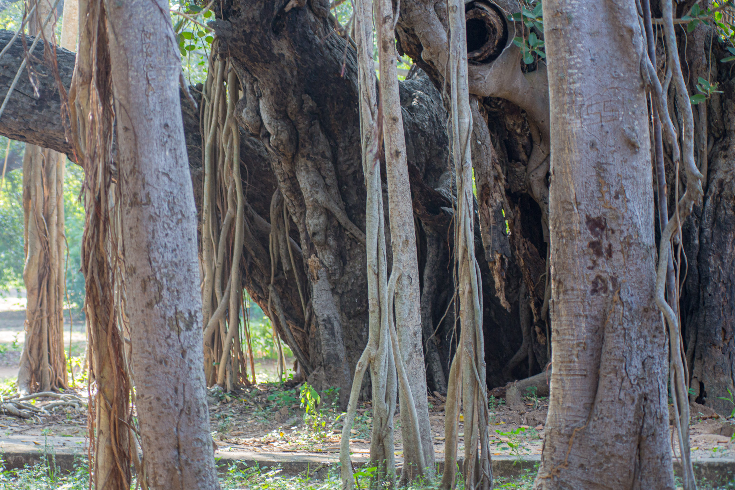 20130125152158 RD 26954